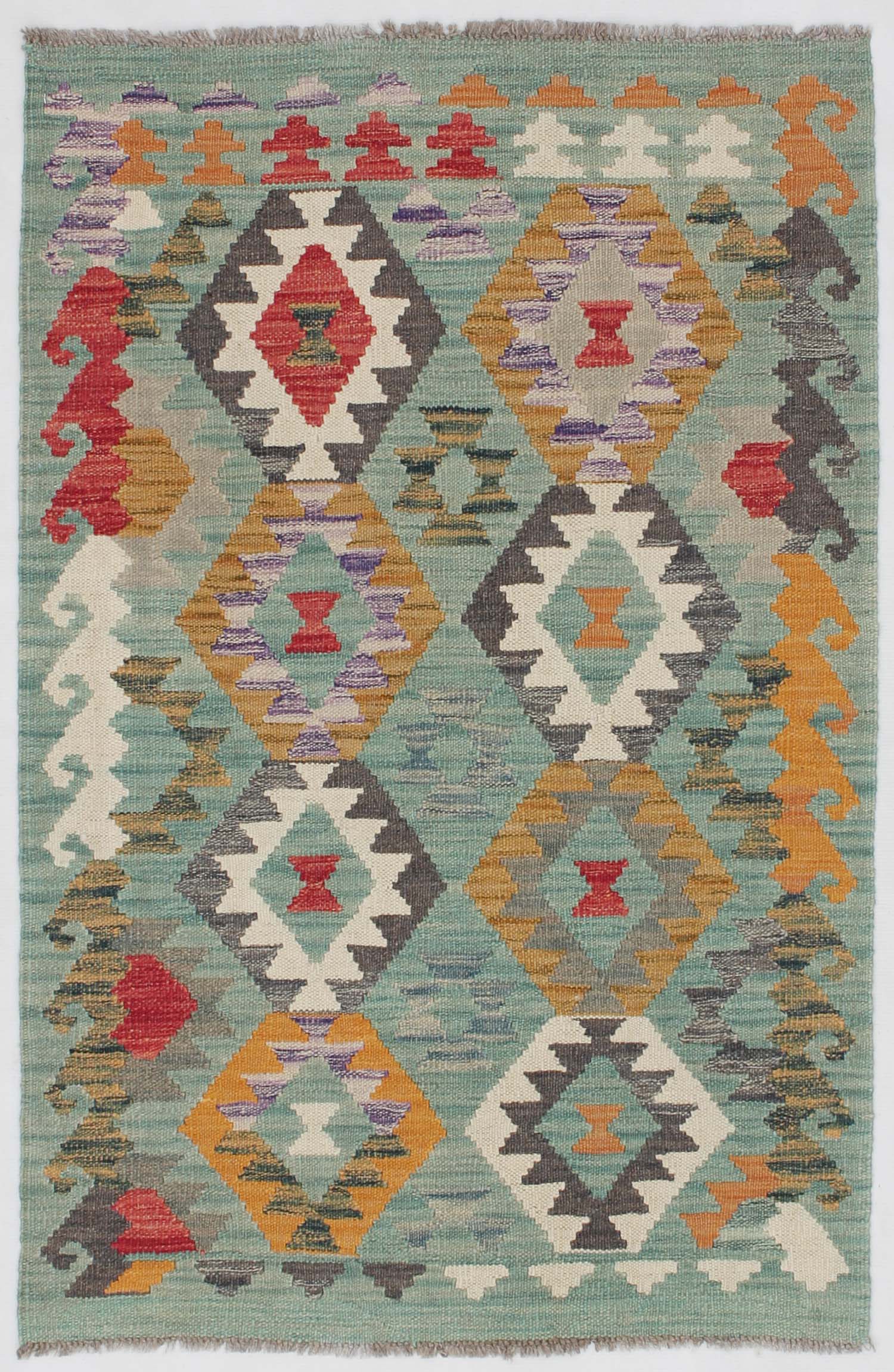 VEGGIE DYE KILIMS