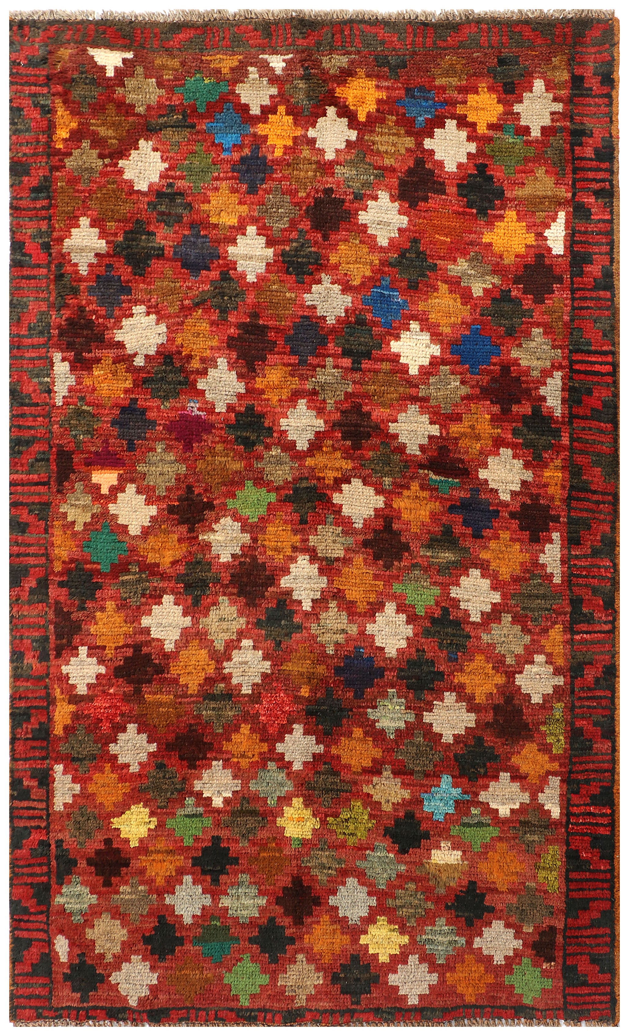SHINDANDI BALUCHI