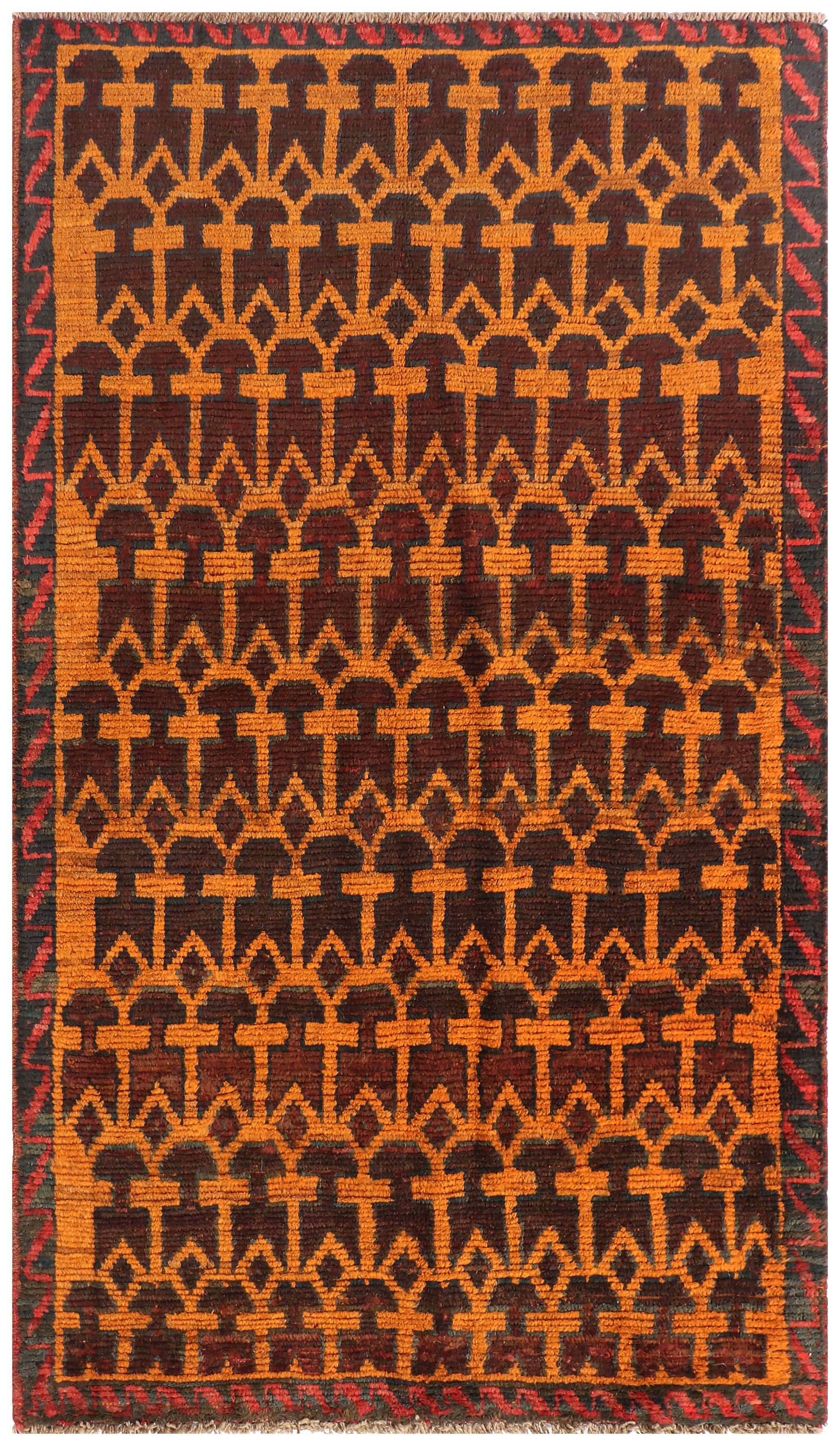 SHINDANDI BALUCHI