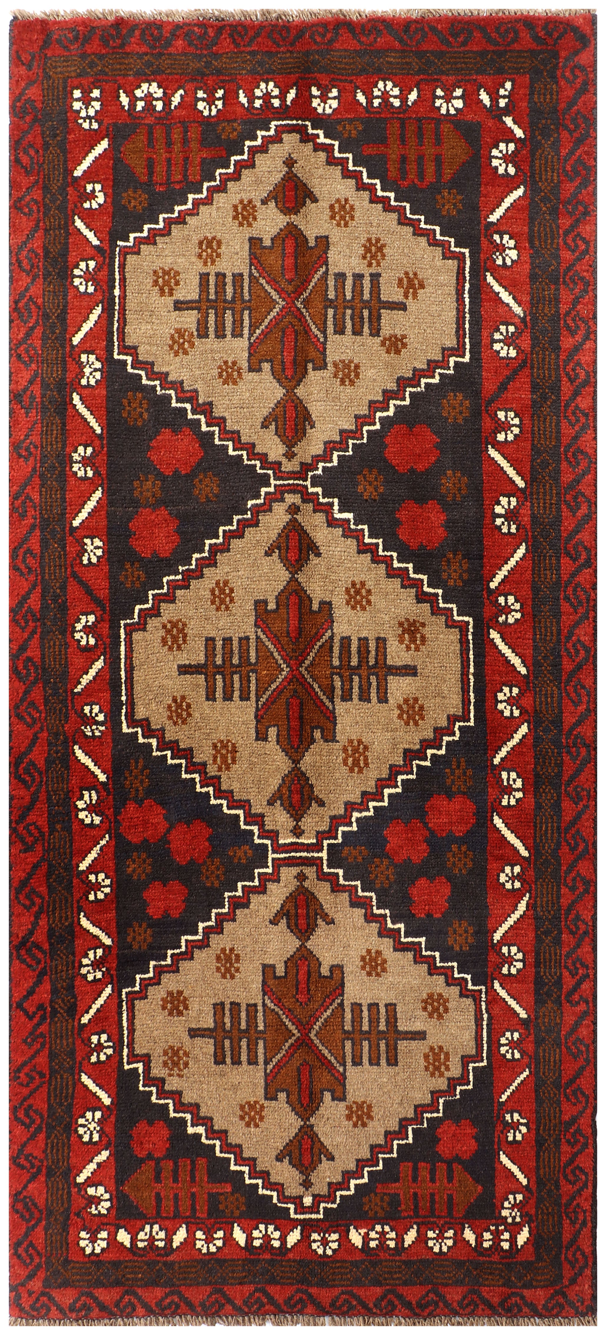 SHINDANDI BALUCHI