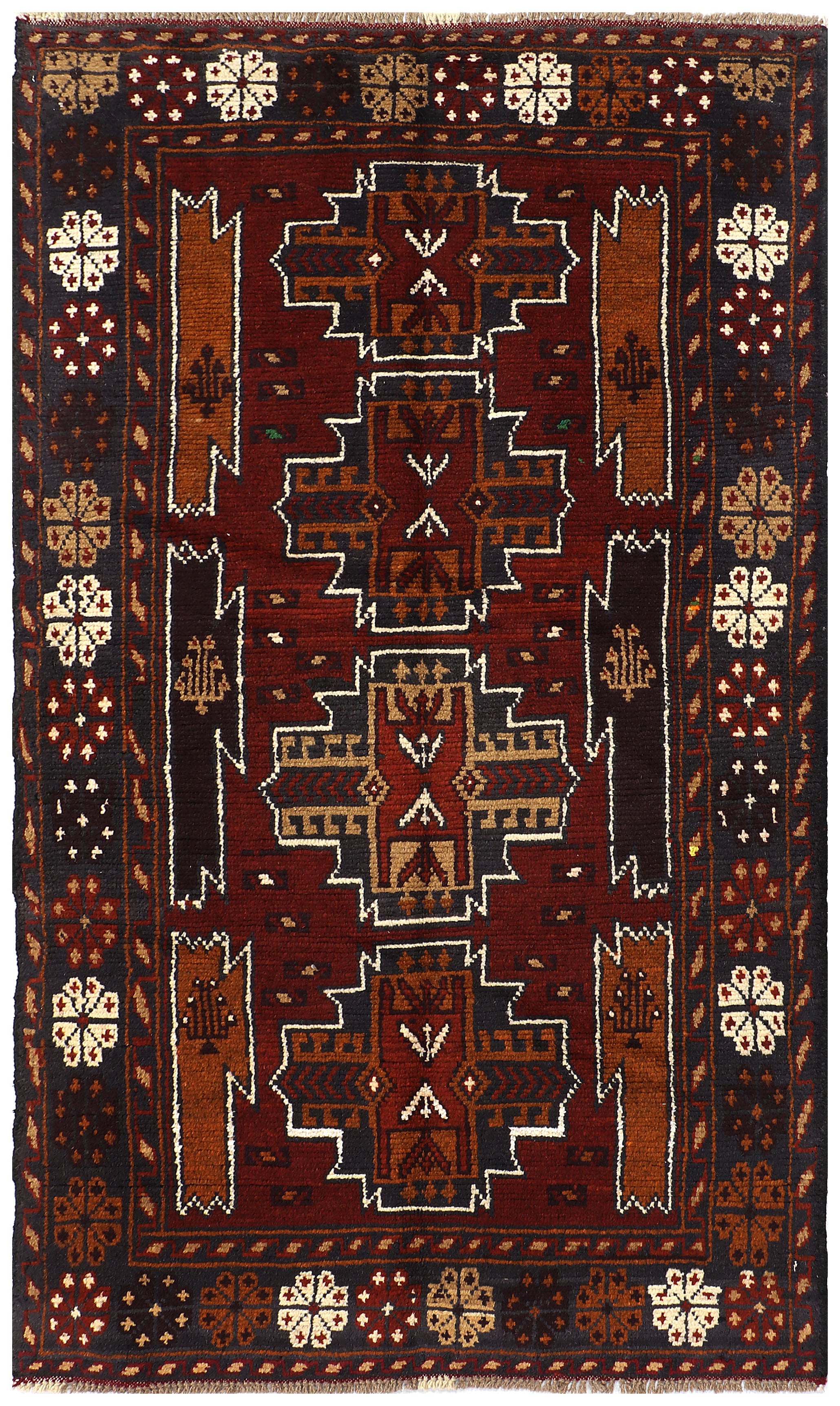 SHINDANDI BALUCHI