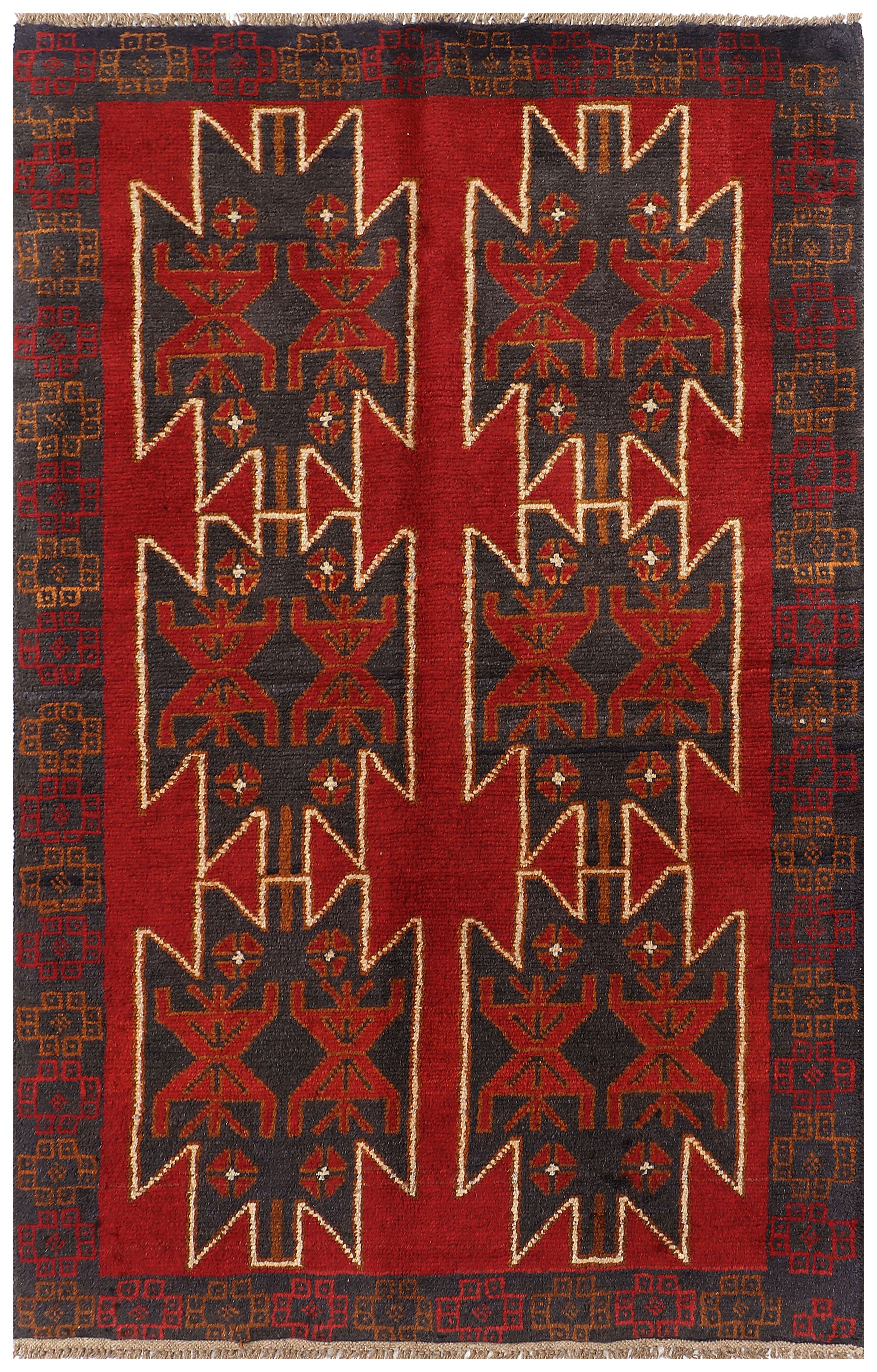 SHINDANDI BALUCHI