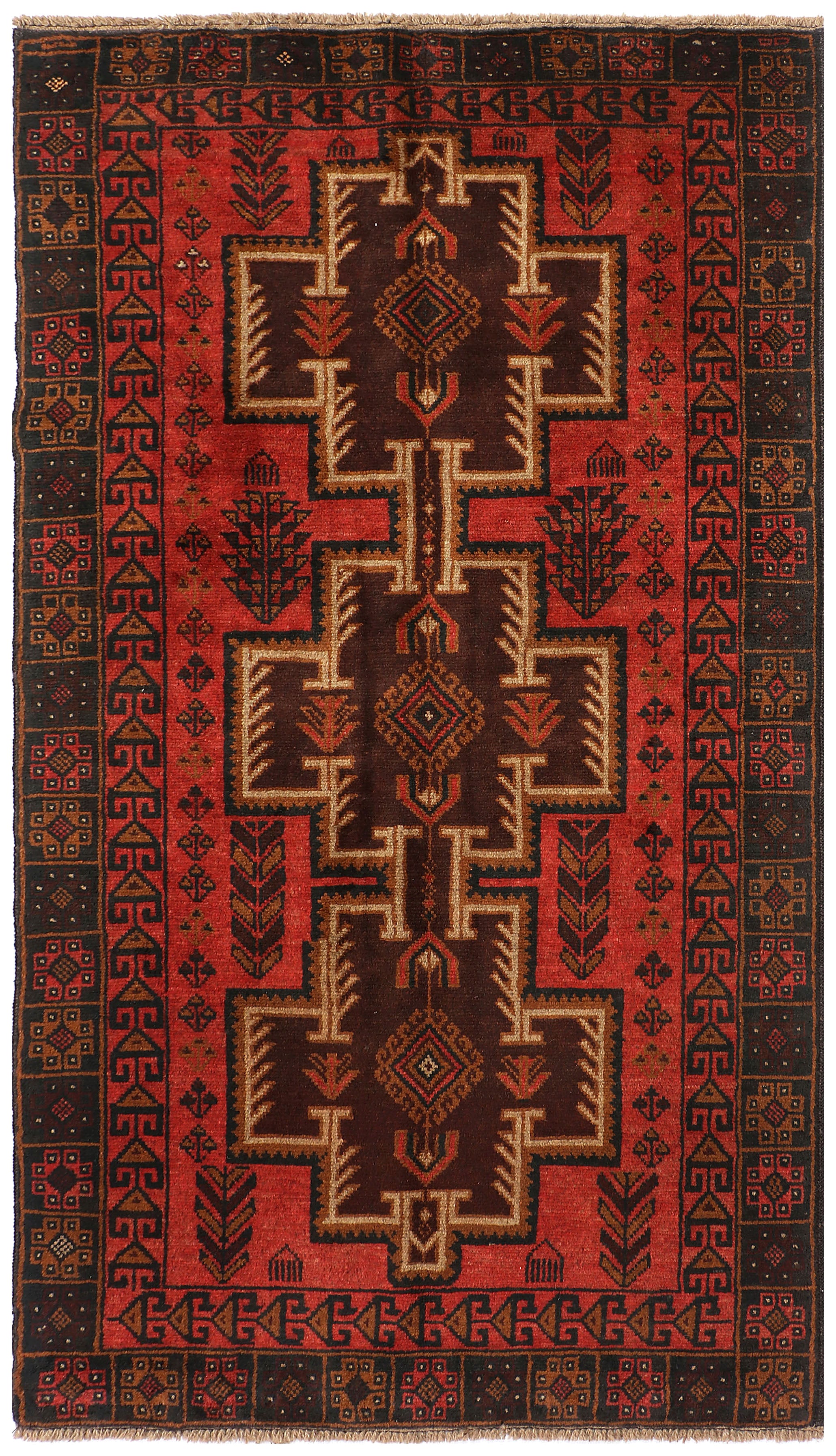 SHINDANDI BALUCHI