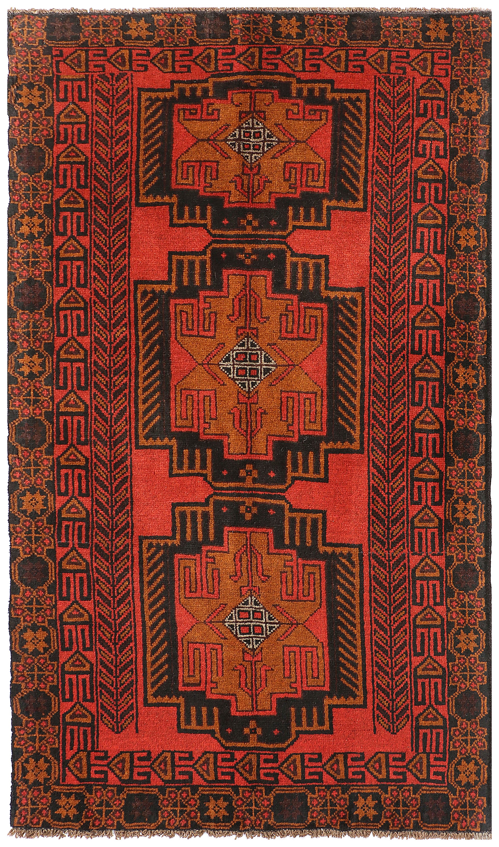 SHINDANDI BALUCHI