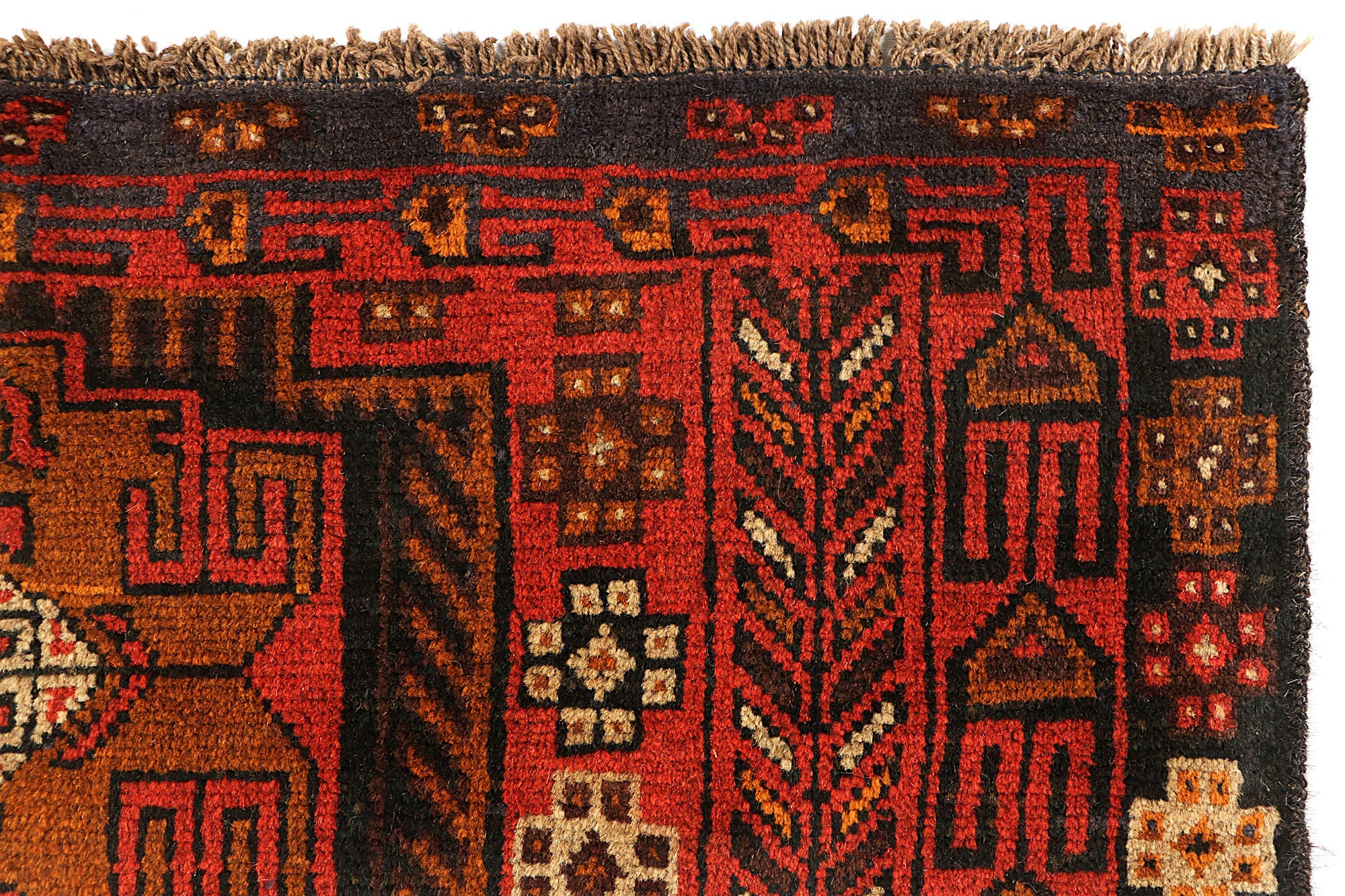 SHINDANDI BALUCHI