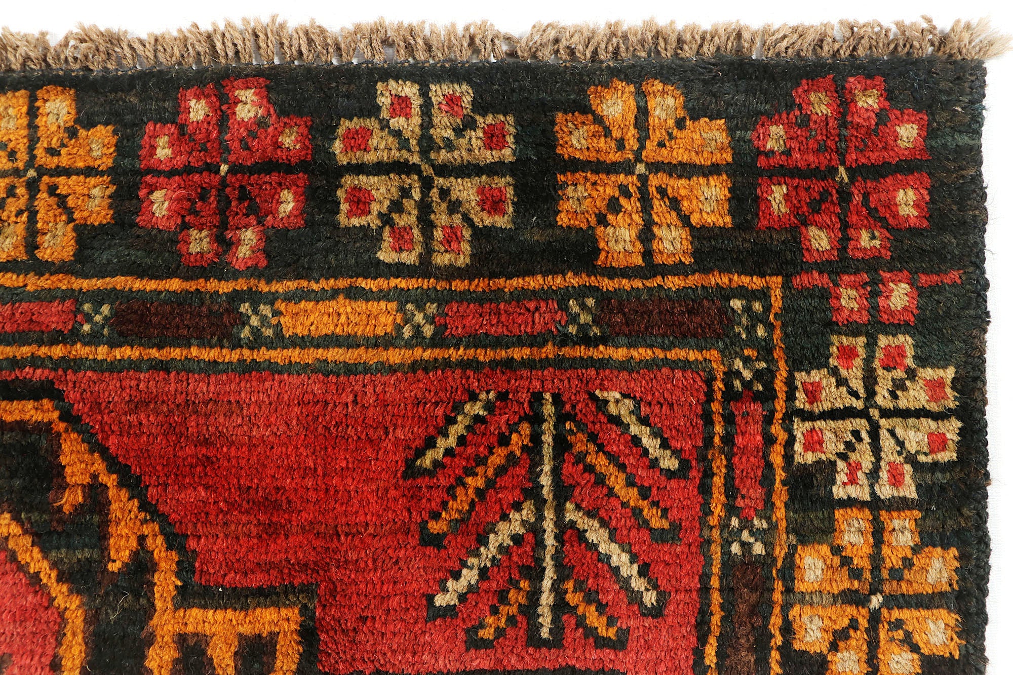 SHINDANDI BALUCHI