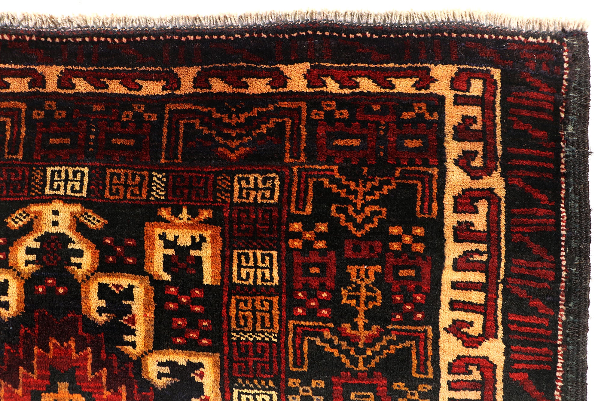 SHINDANDI BALUCHI