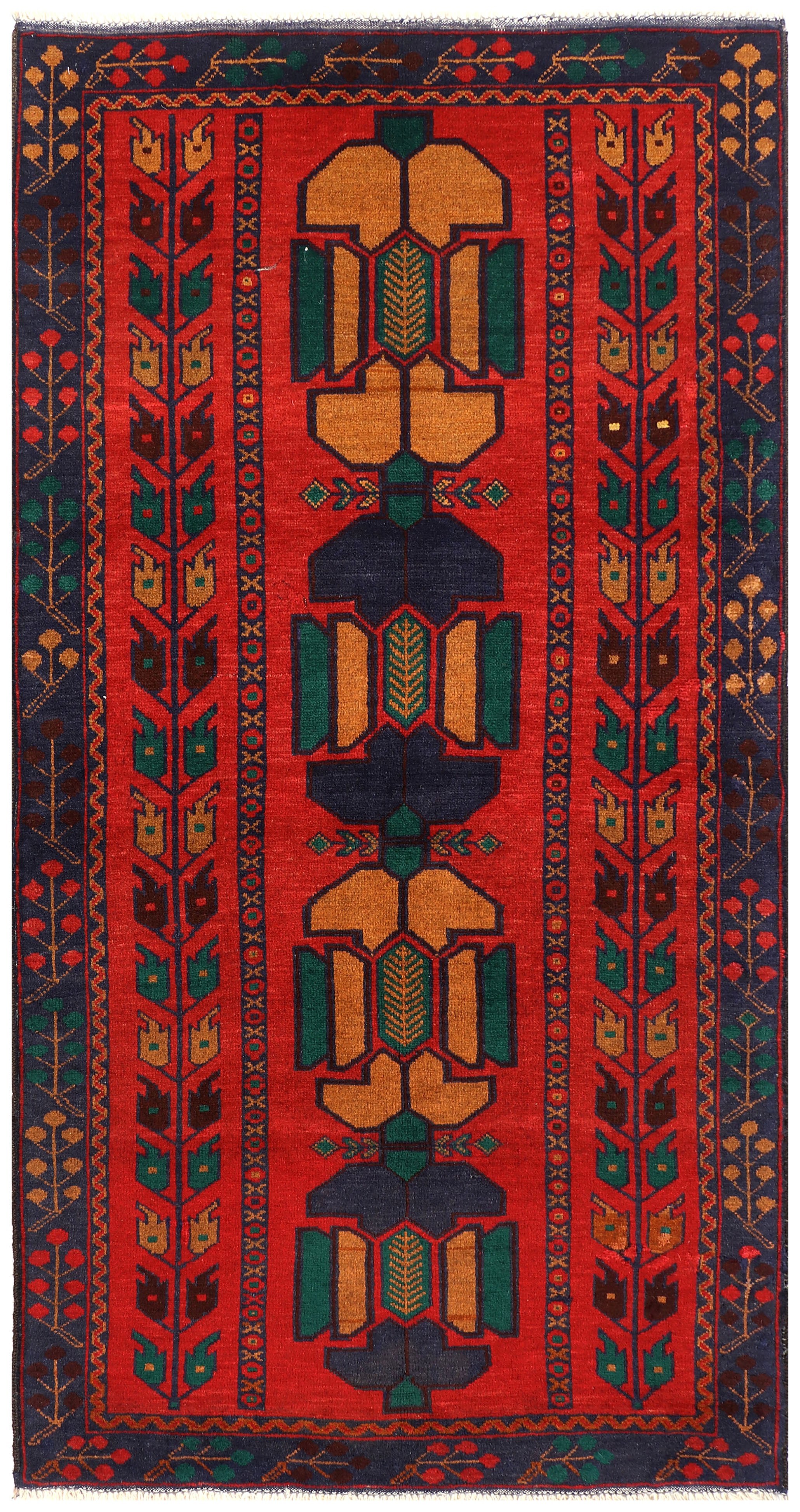 SHINDANDI BALUCHI