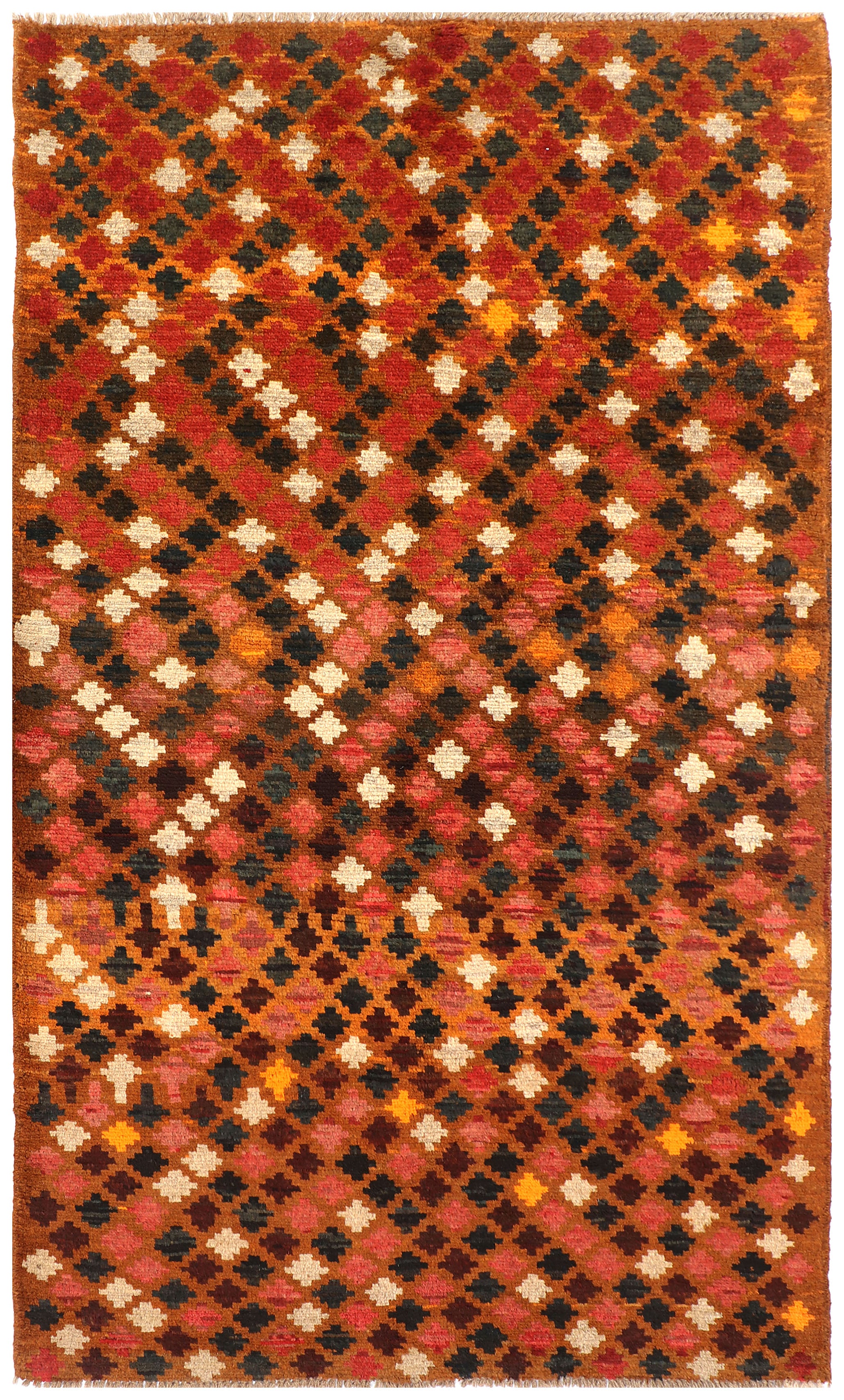 SHINDANDI BALUCHI