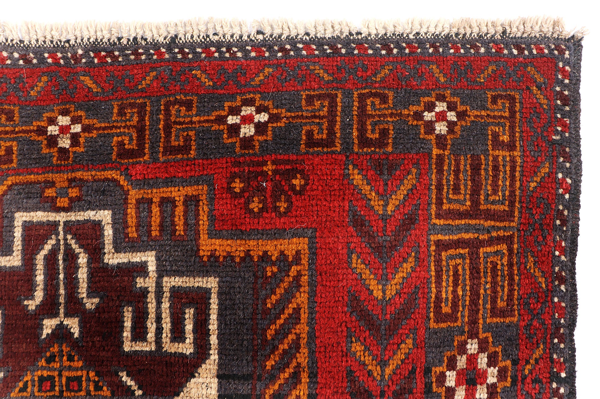 SHINDANDI BALUCHI