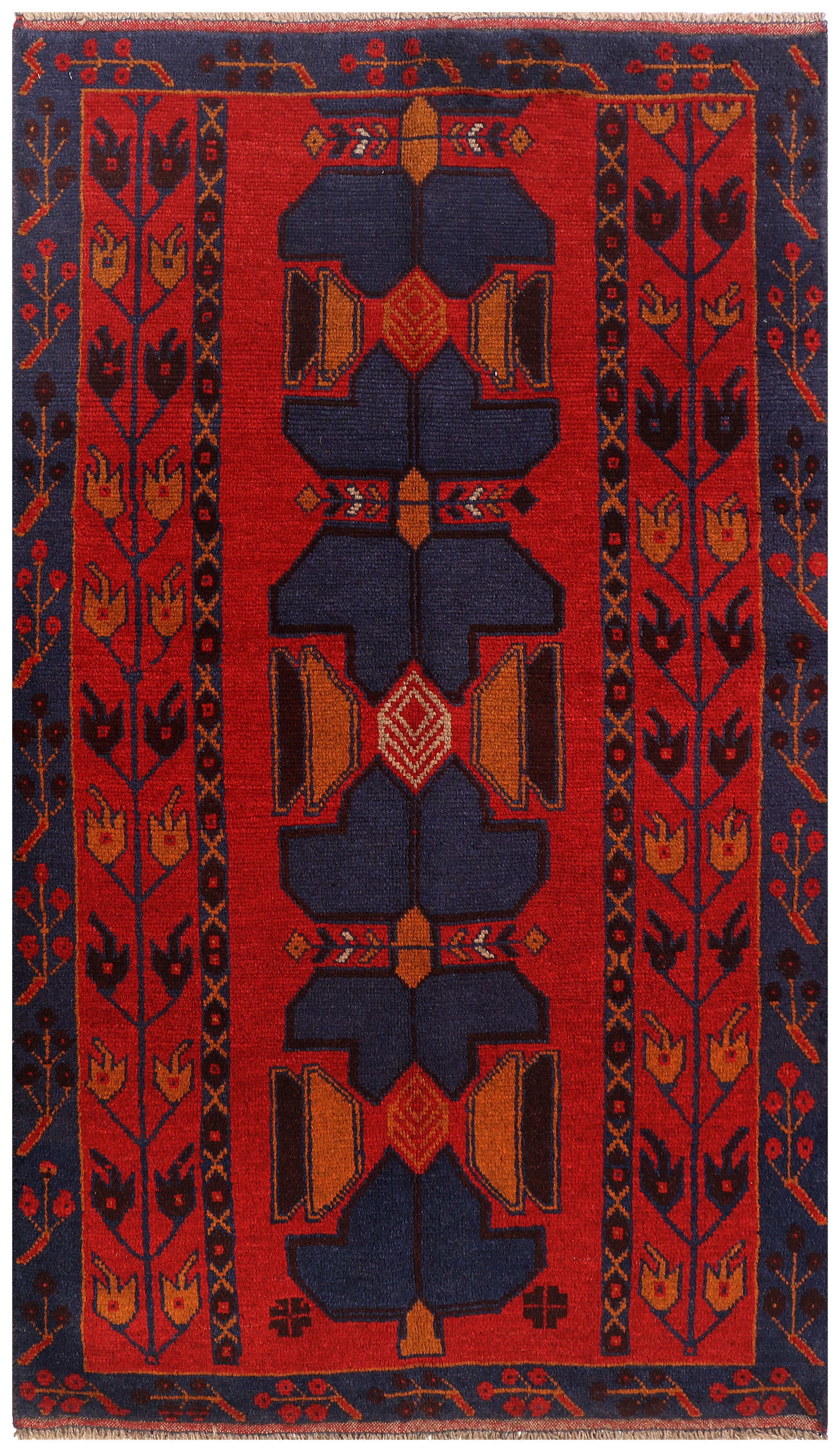 SHINDANDI BALUCHI