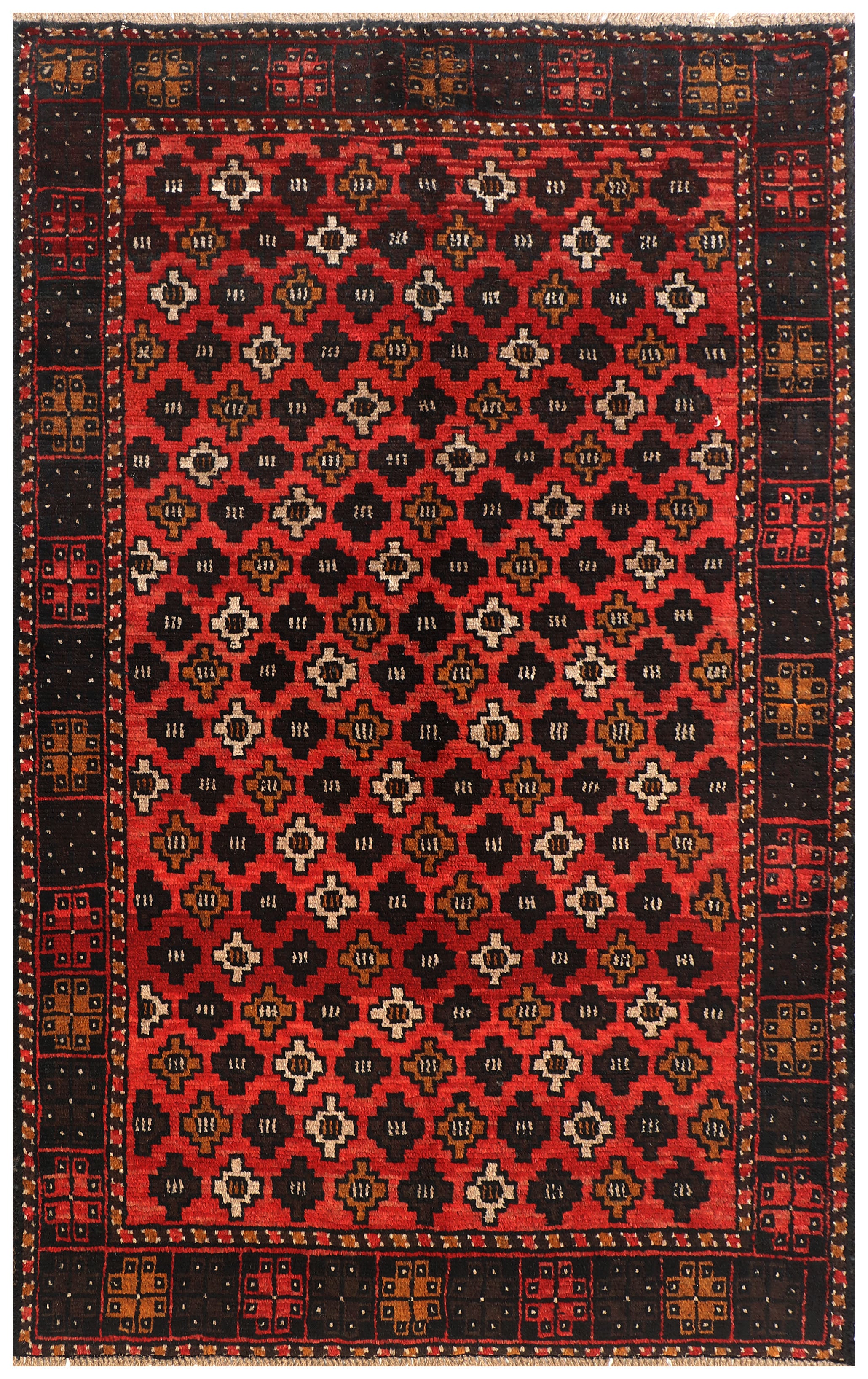 SHINDANDI BALUCHI