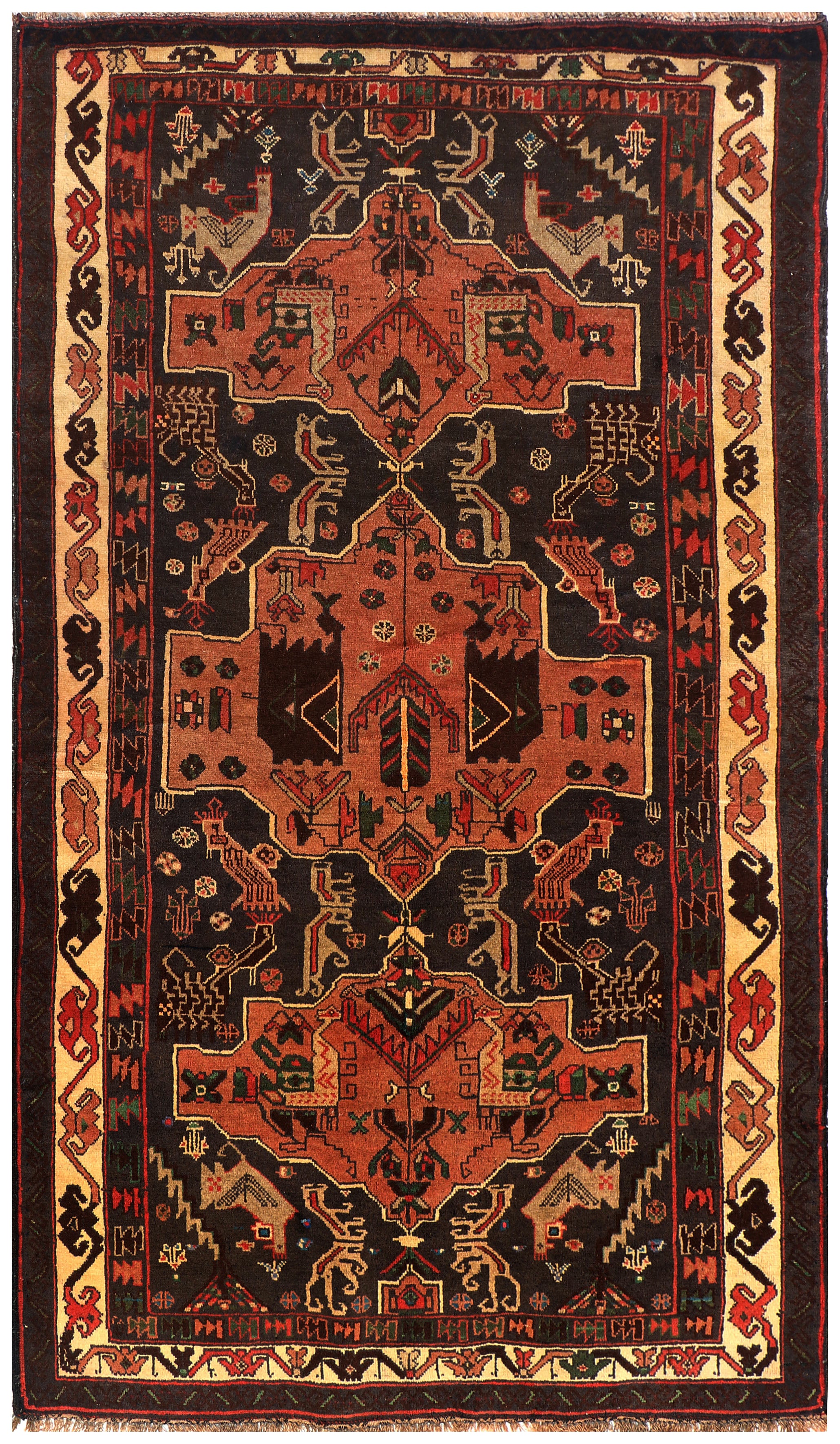 SHINDANDI BALUCHI