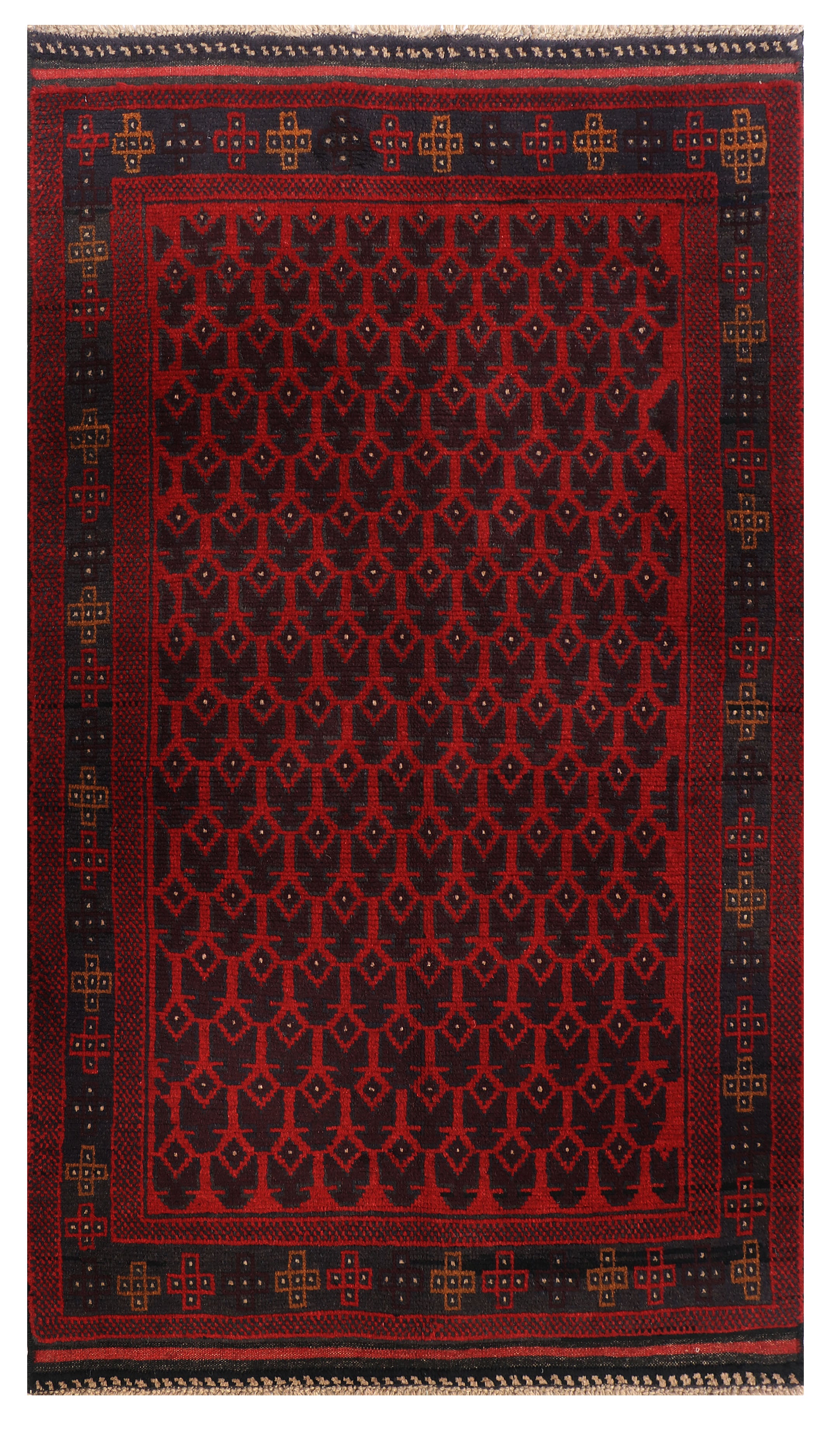 SHINDANDI BALUCHI