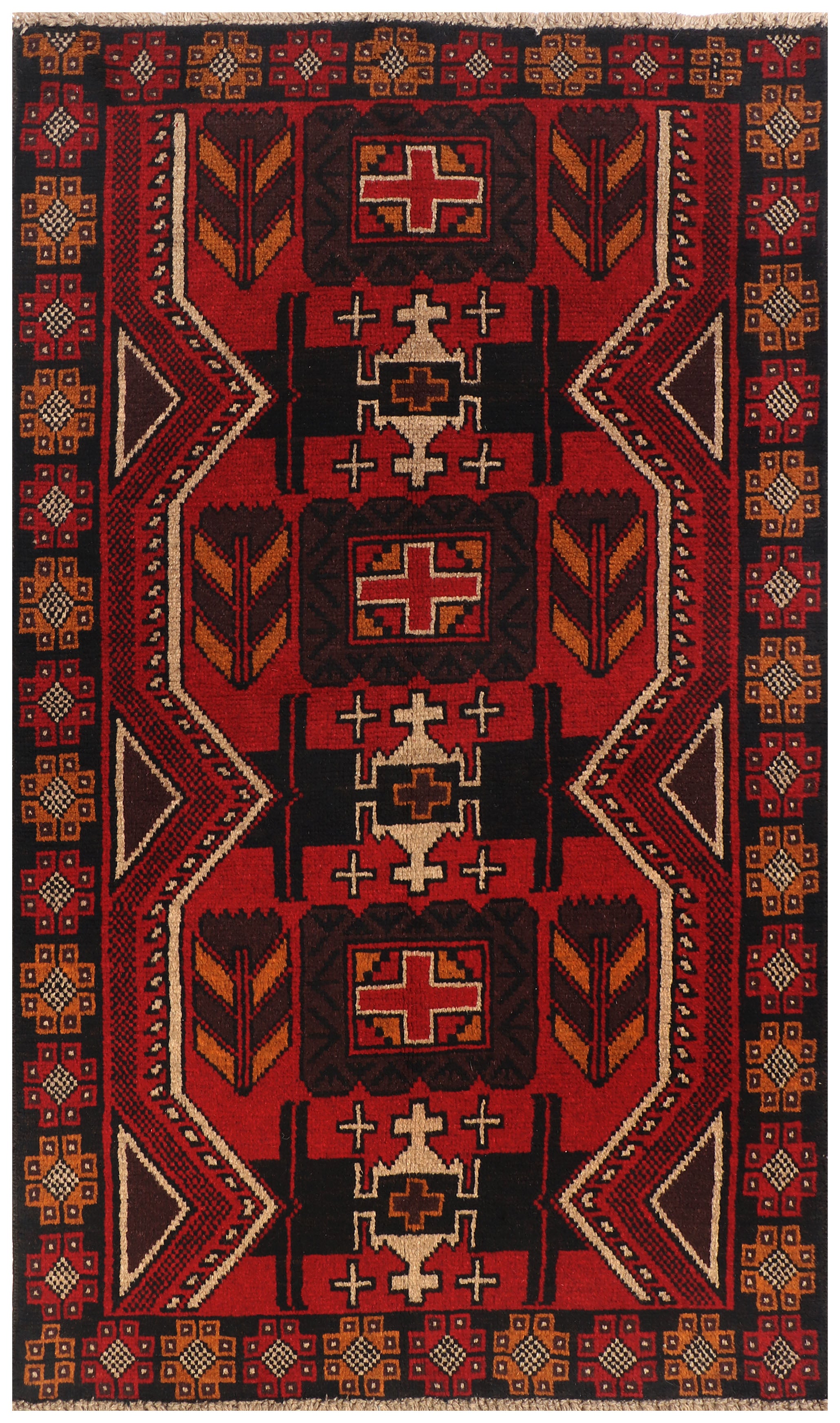 SHINDANDI BALUCHI