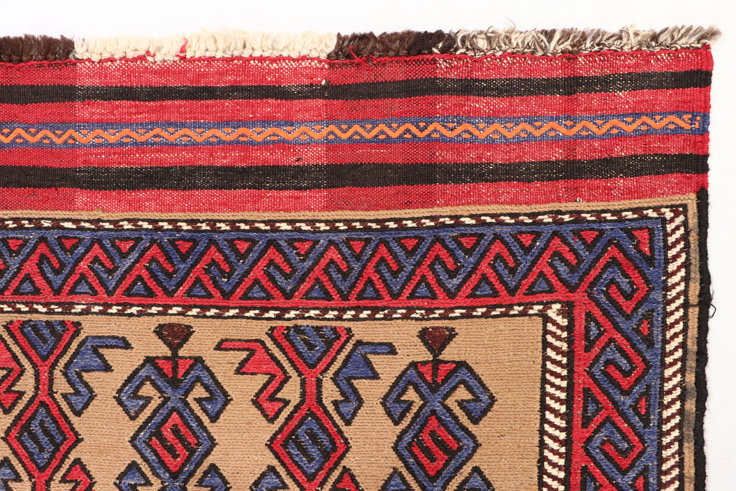 SAGHARI