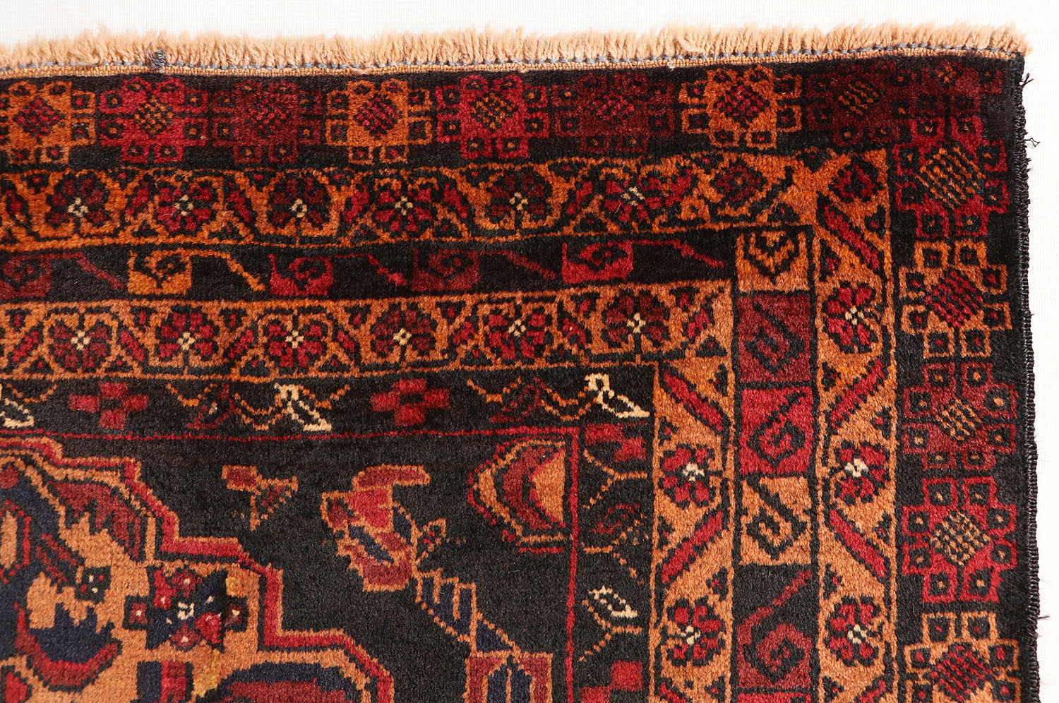 ADRASKAN BALUCHI