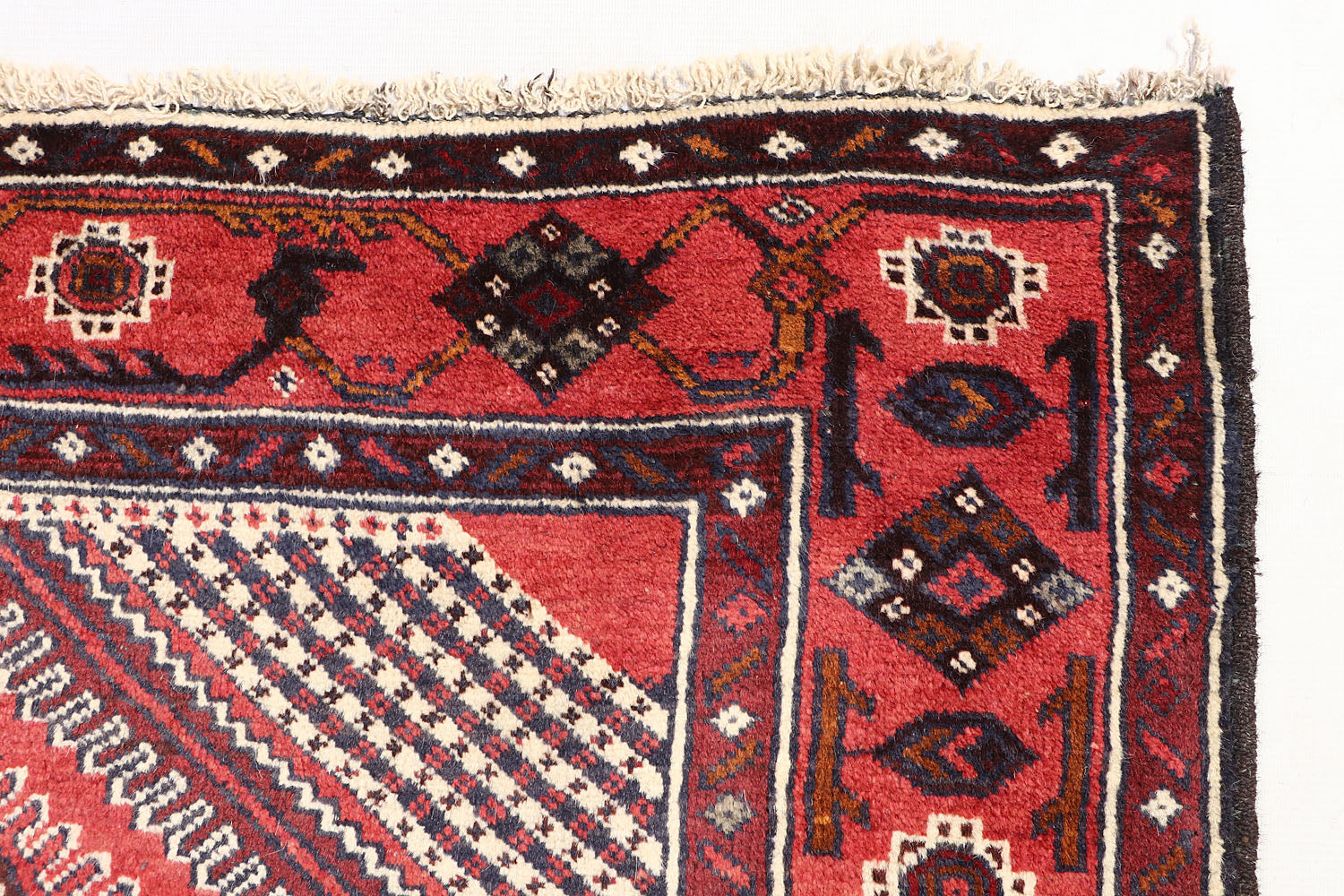 ADRASKAN BALUCHI