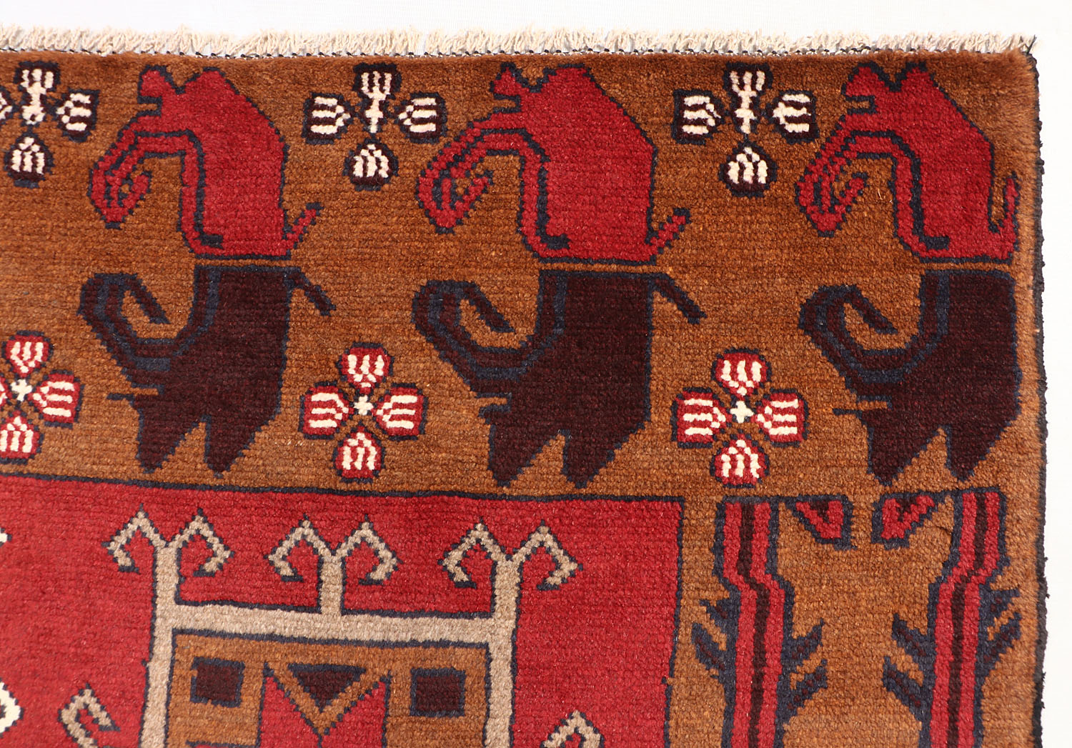 ADRASKAN BALUCHI