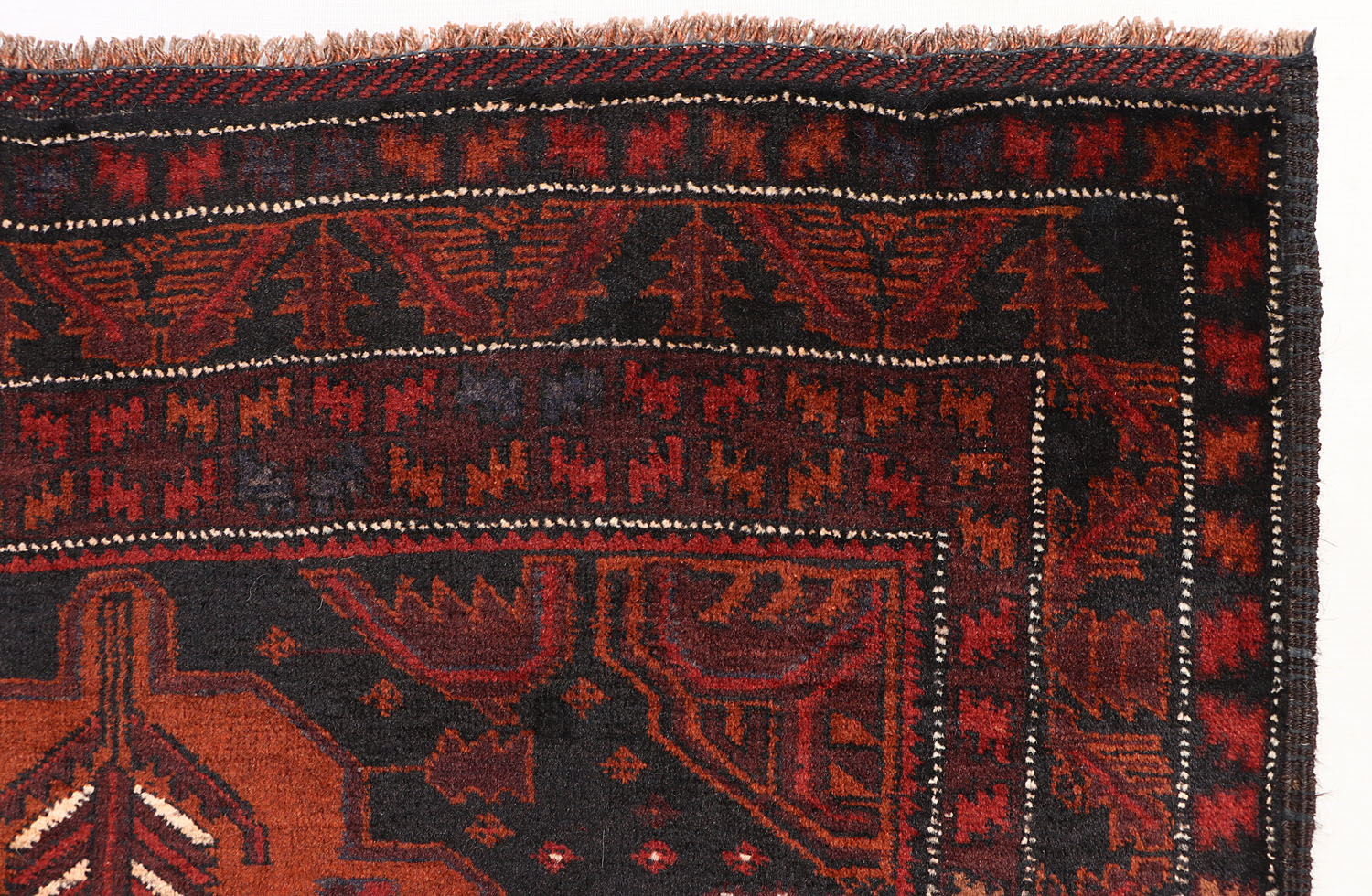 ADRASKAN BALUCHI