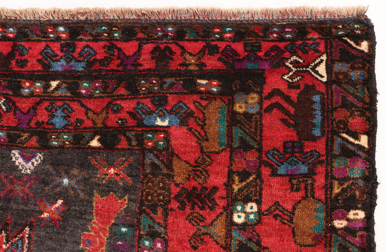 ADRASKAN BALUCHI