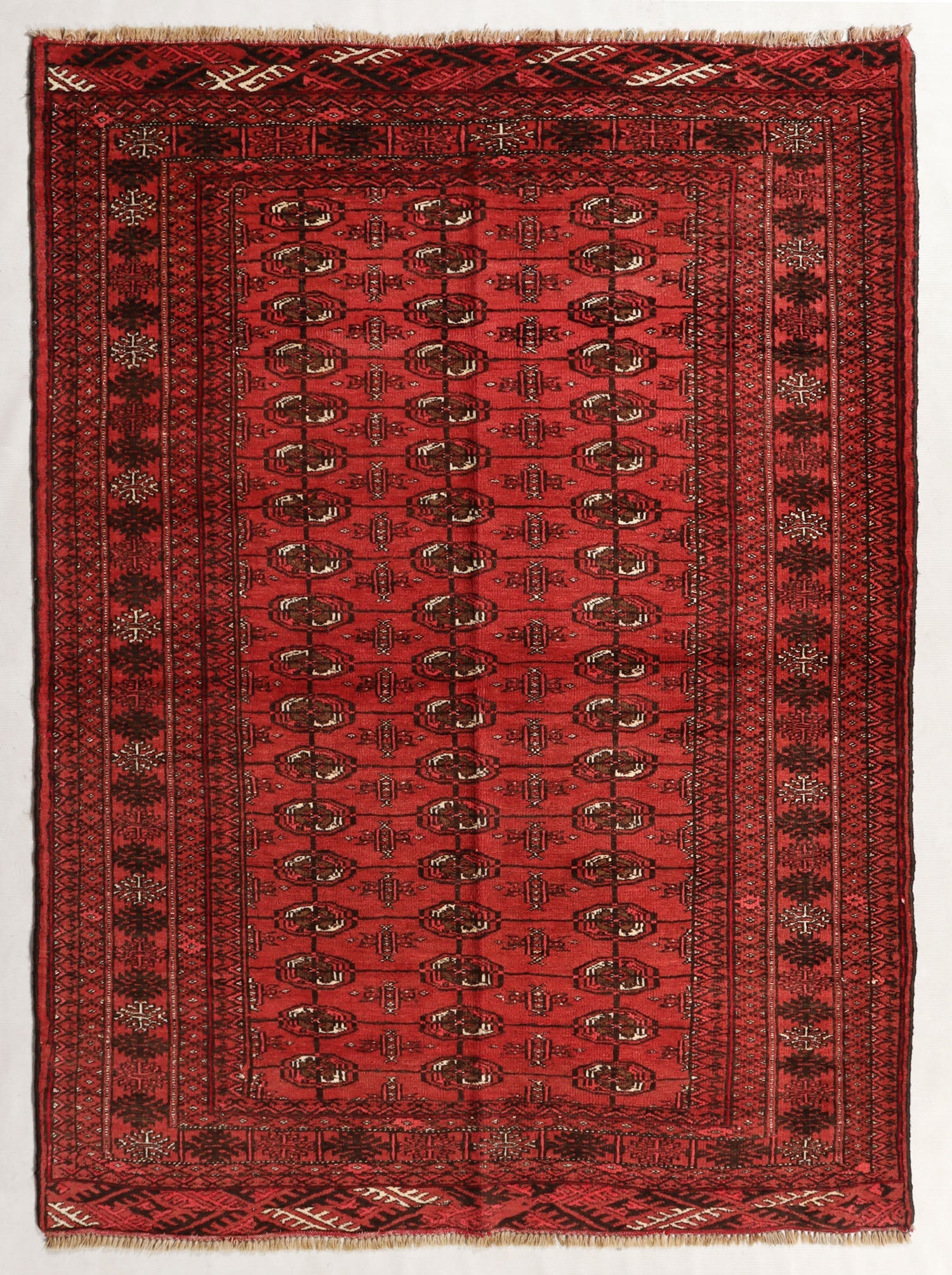 MORI BUKHARA
