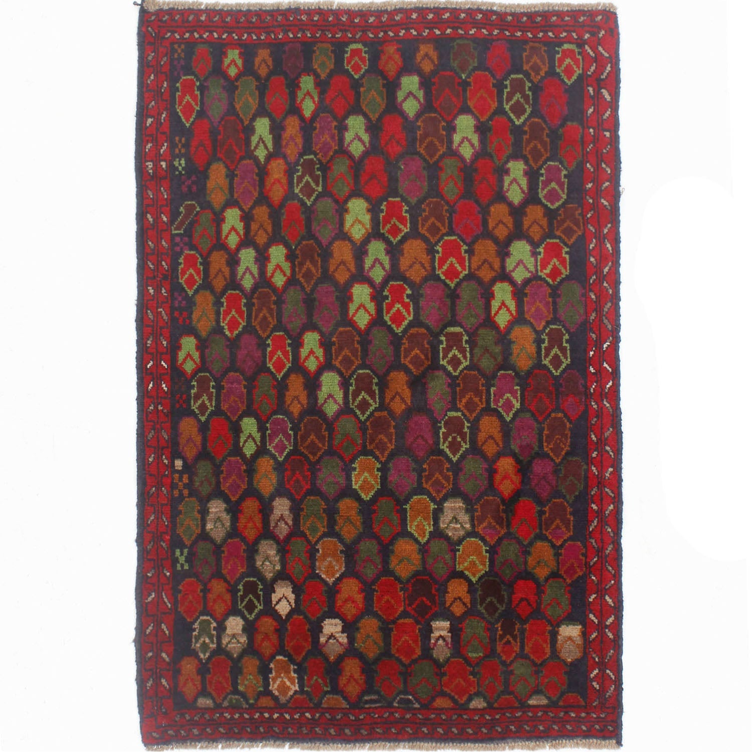 KOHISTANI BALUCHI