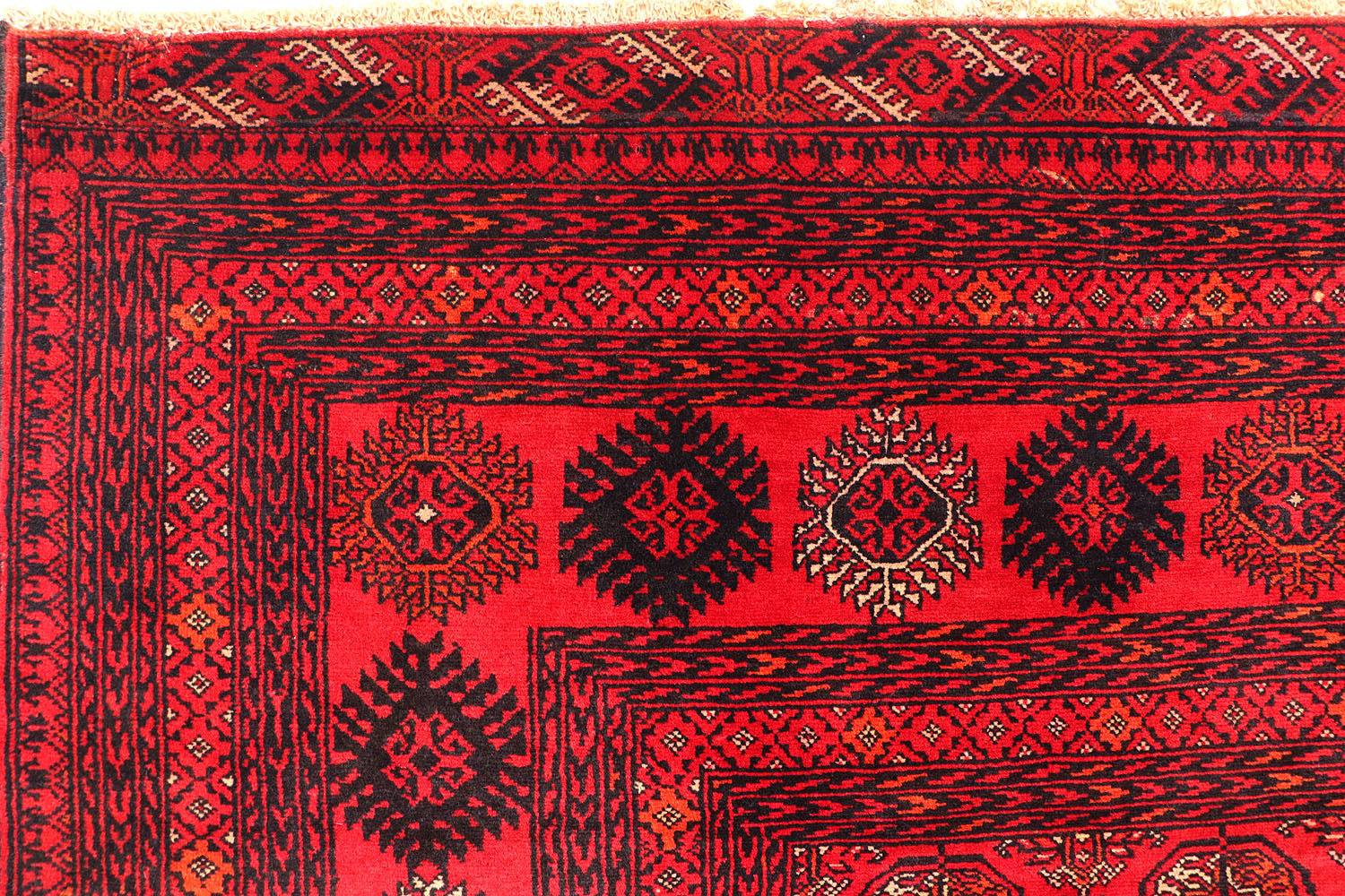 MORI BUKHARA