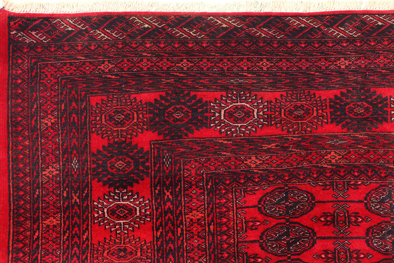 MORI BUKHARA