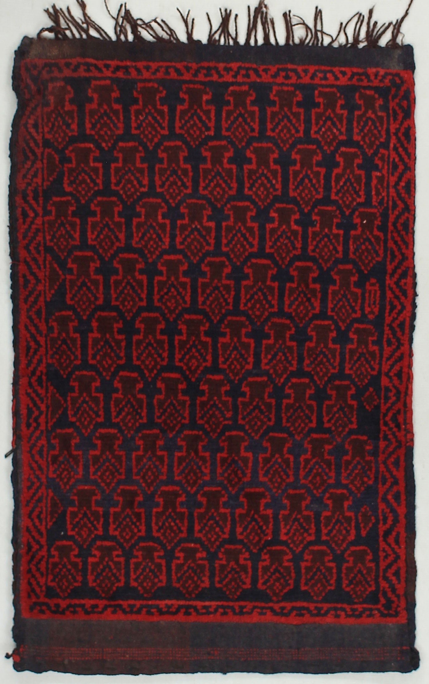 SHINDANDI CUSHIONS