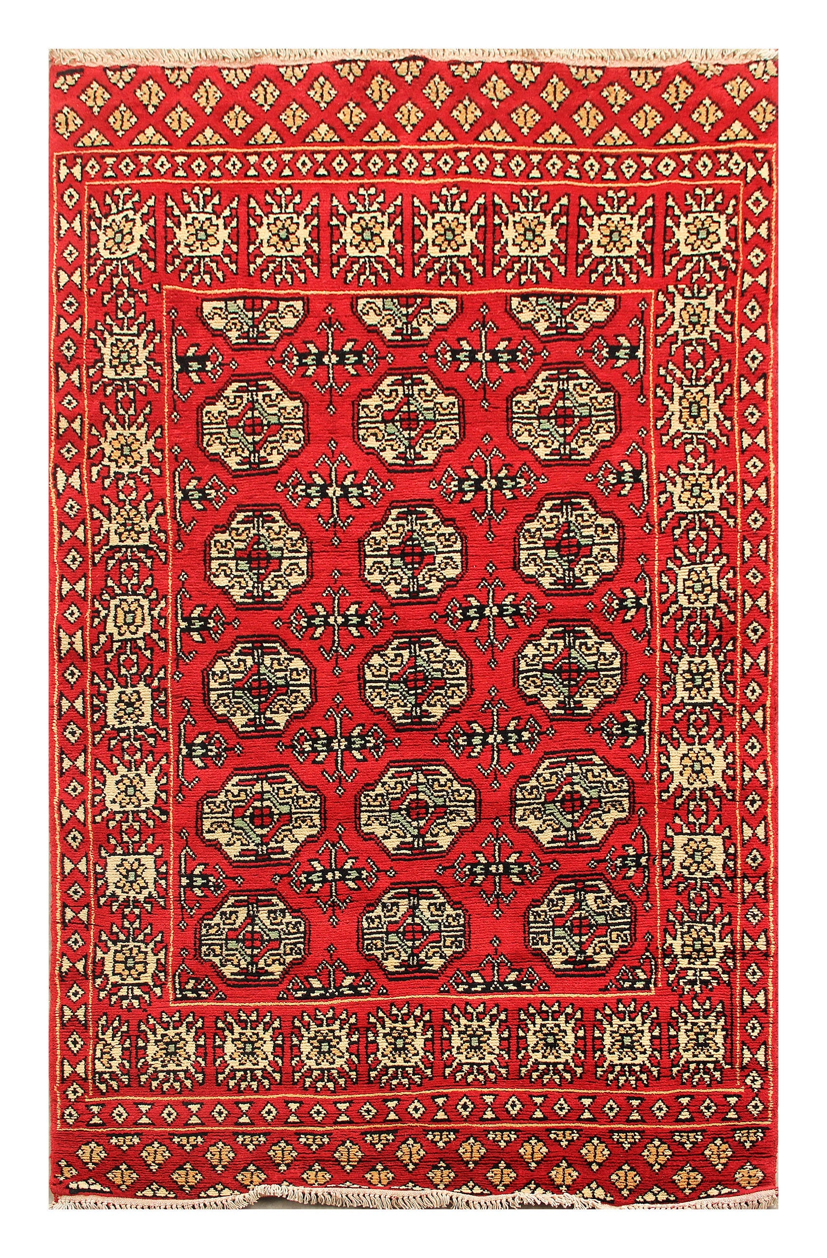 SHINDANDI BALUCHI