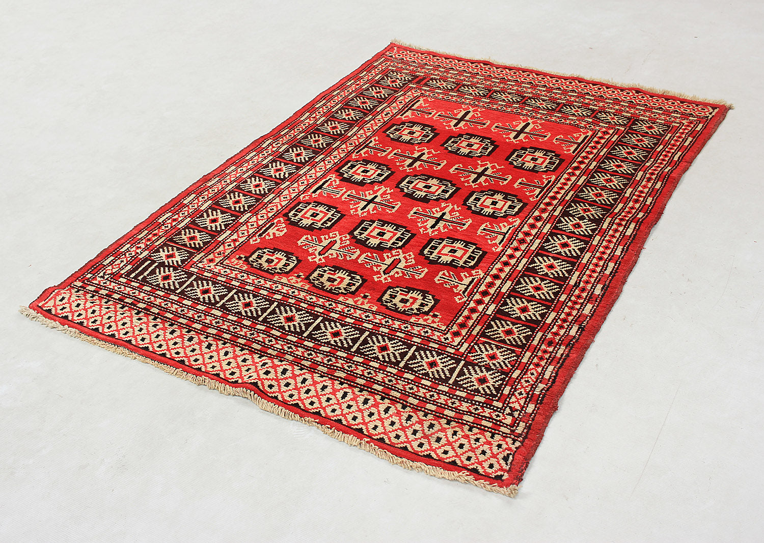 SHINDANDI BALUCHI