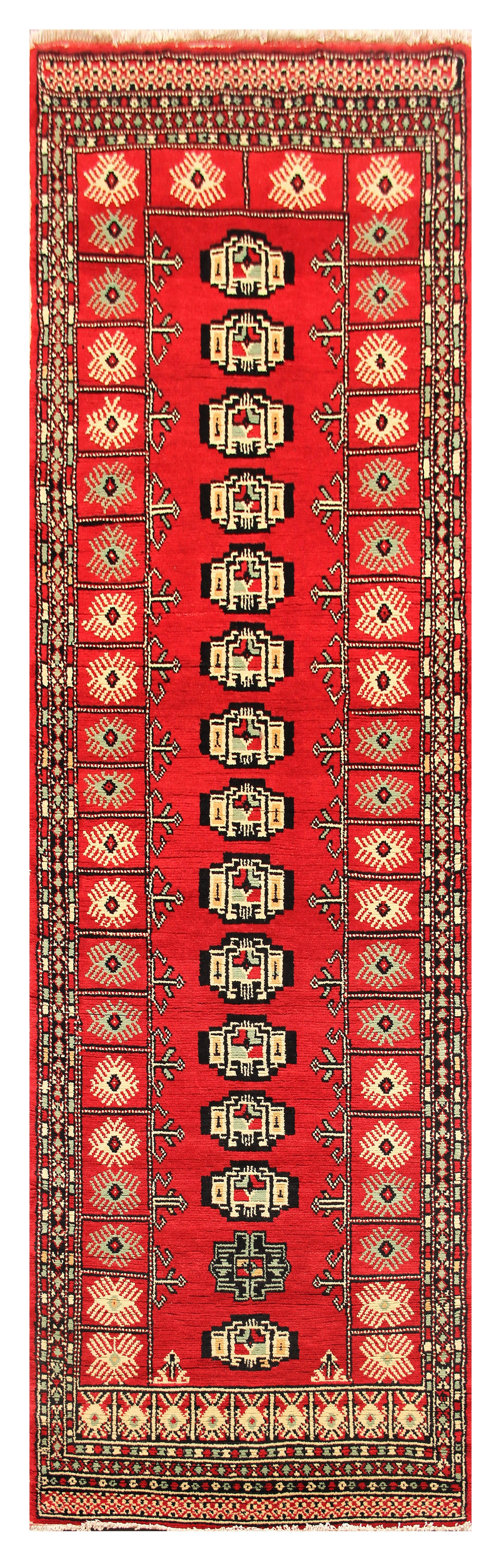 SHINDANDI BALUCHI