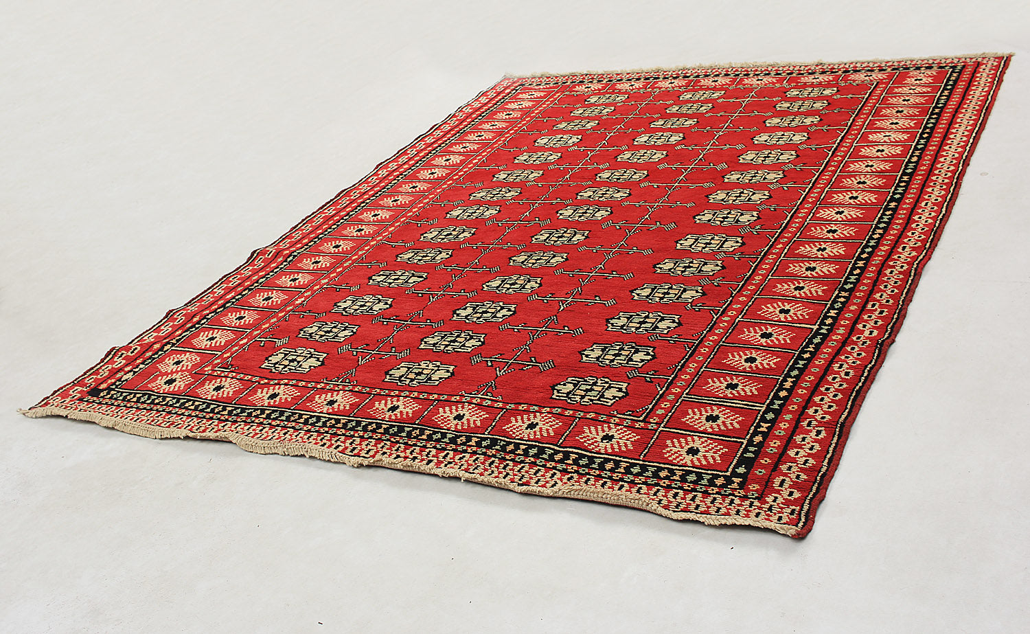 SHINDANDI BALUCHI