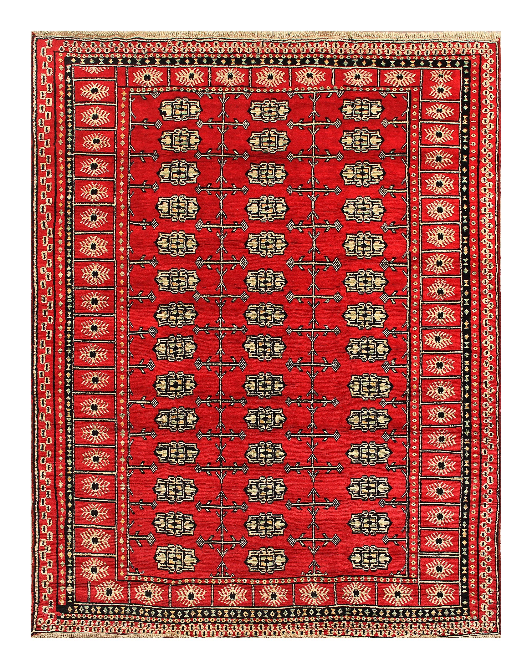 SHINDANDI BALUCHI