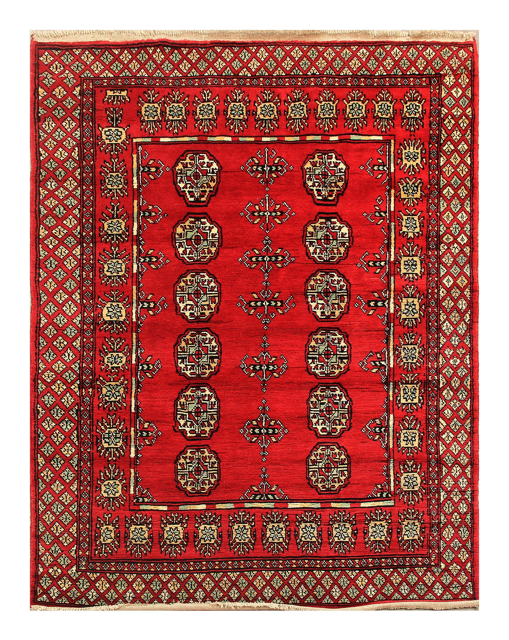 SHINDANDI BALUCHI