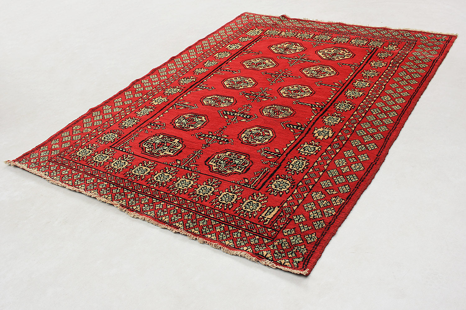 SHINDANDI BALUCHI