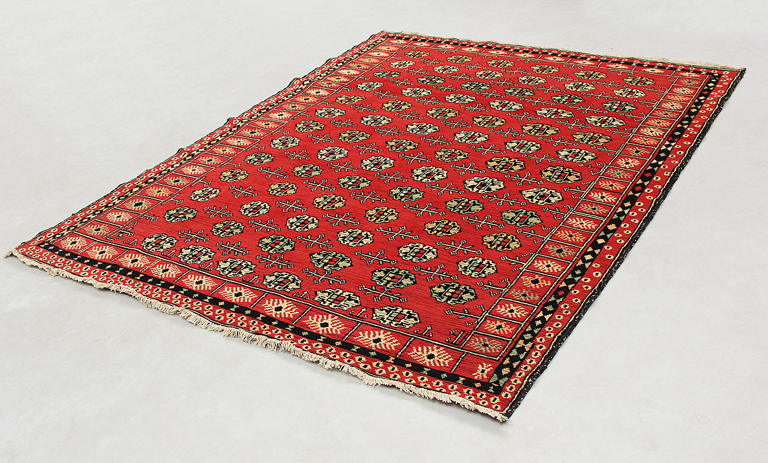 SHINDANDI BALUCHI