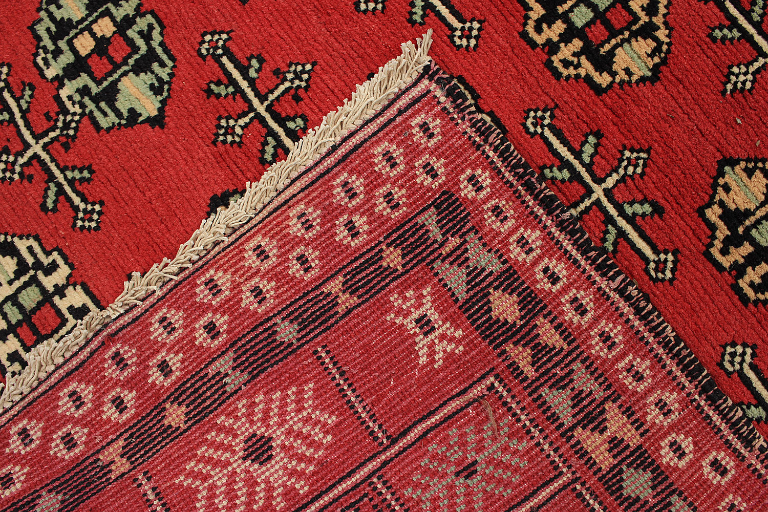 SHINDANDI BALUCHI