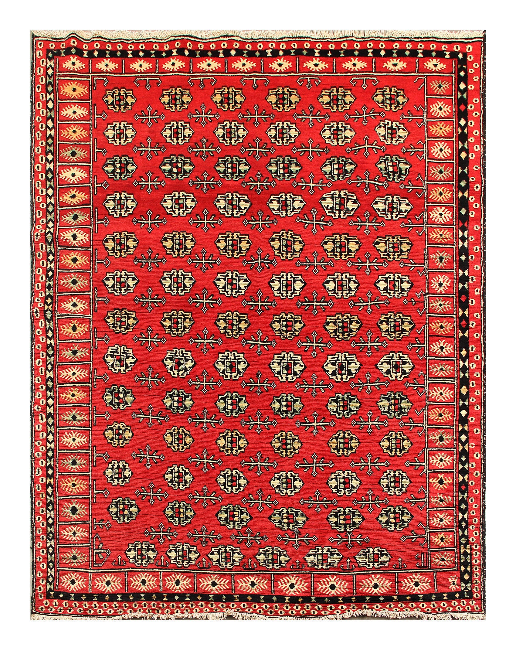 SHINDANDI BALUCHI