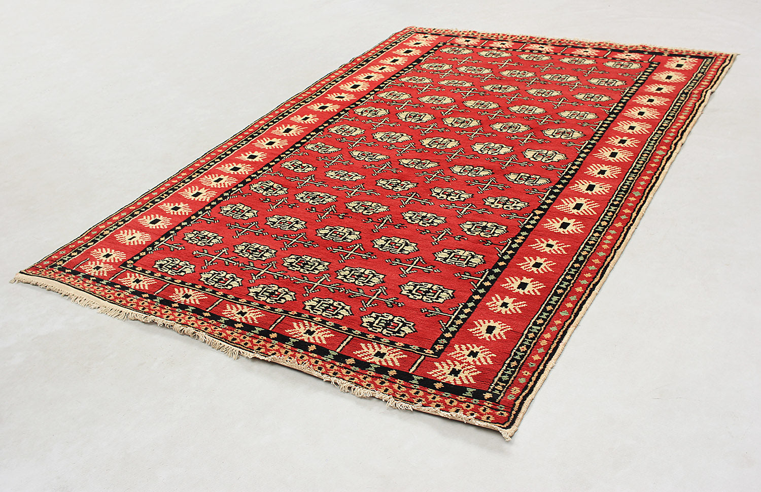 SHINDANDI BALUCHI