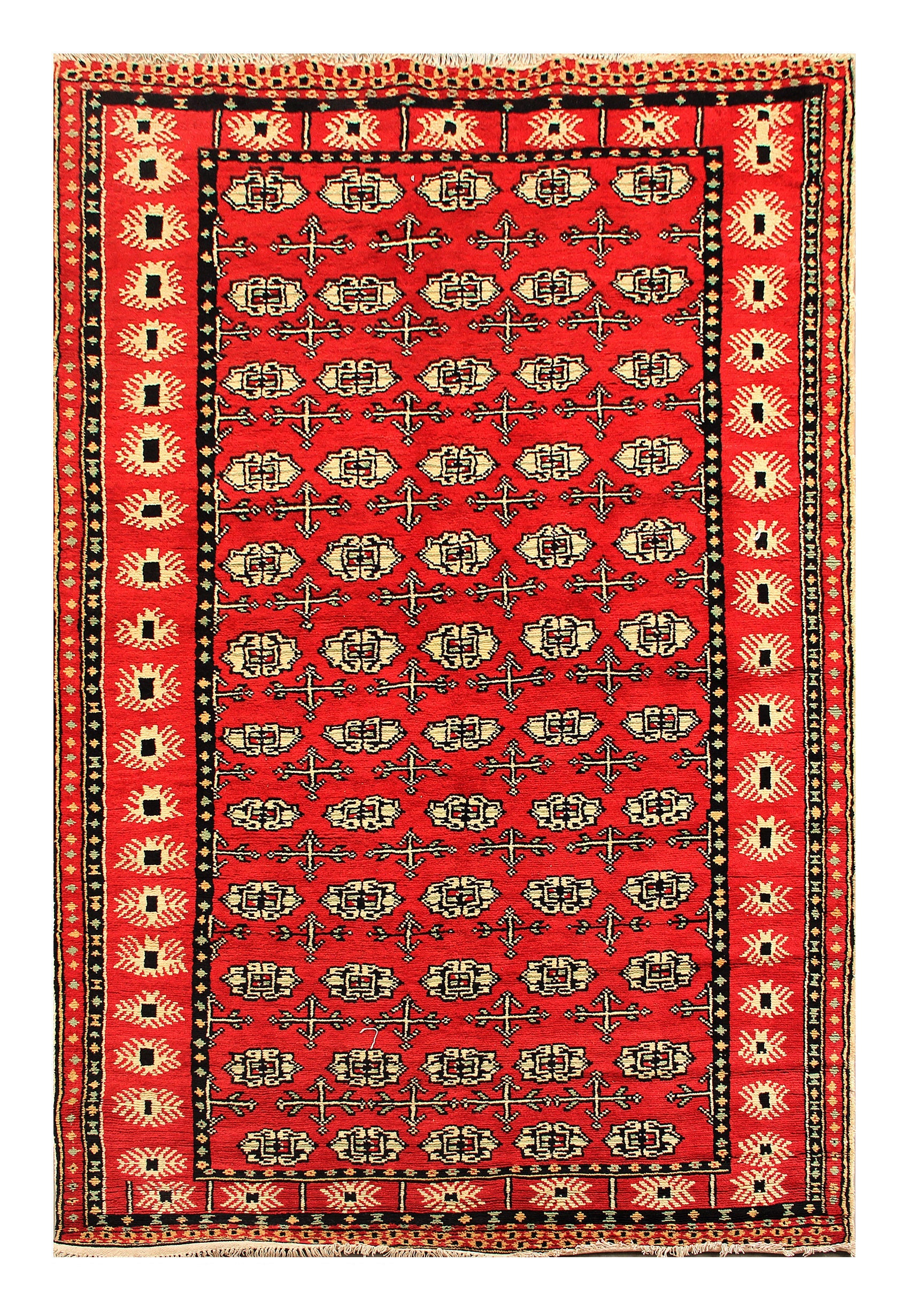 SHINDANDI BALUCHI