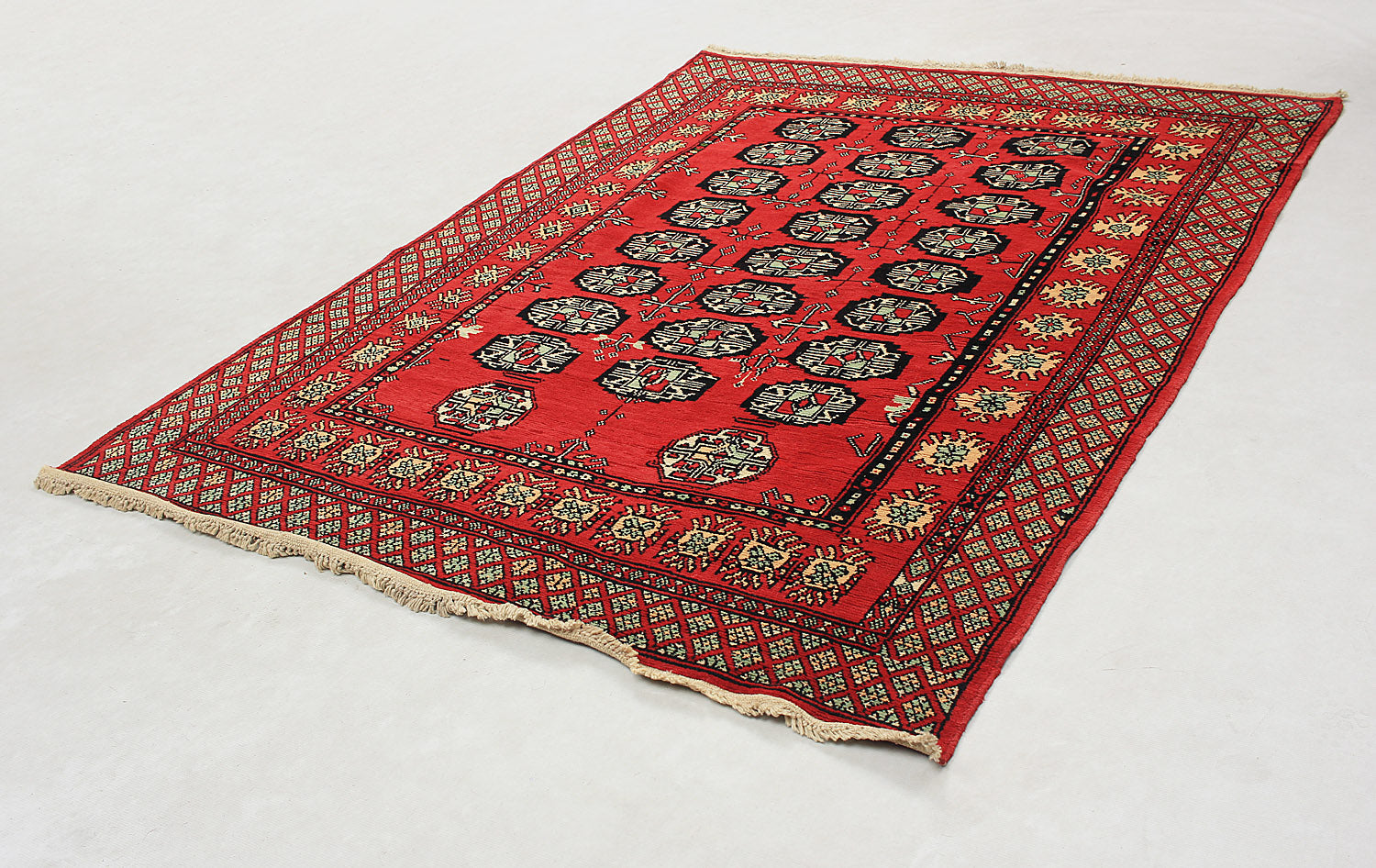 SHINDANDI BALUCHI