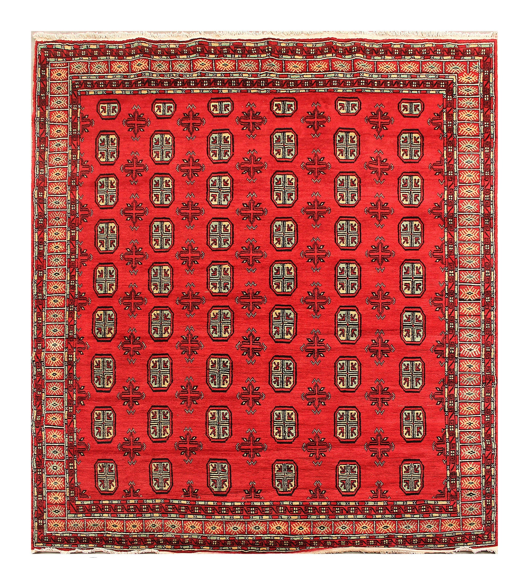 SHINDANDI BALUCHI