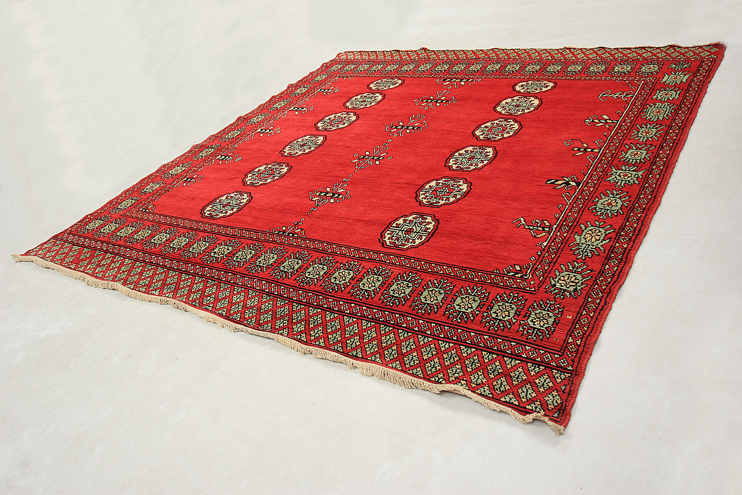 SHINDANDI BALUCHI