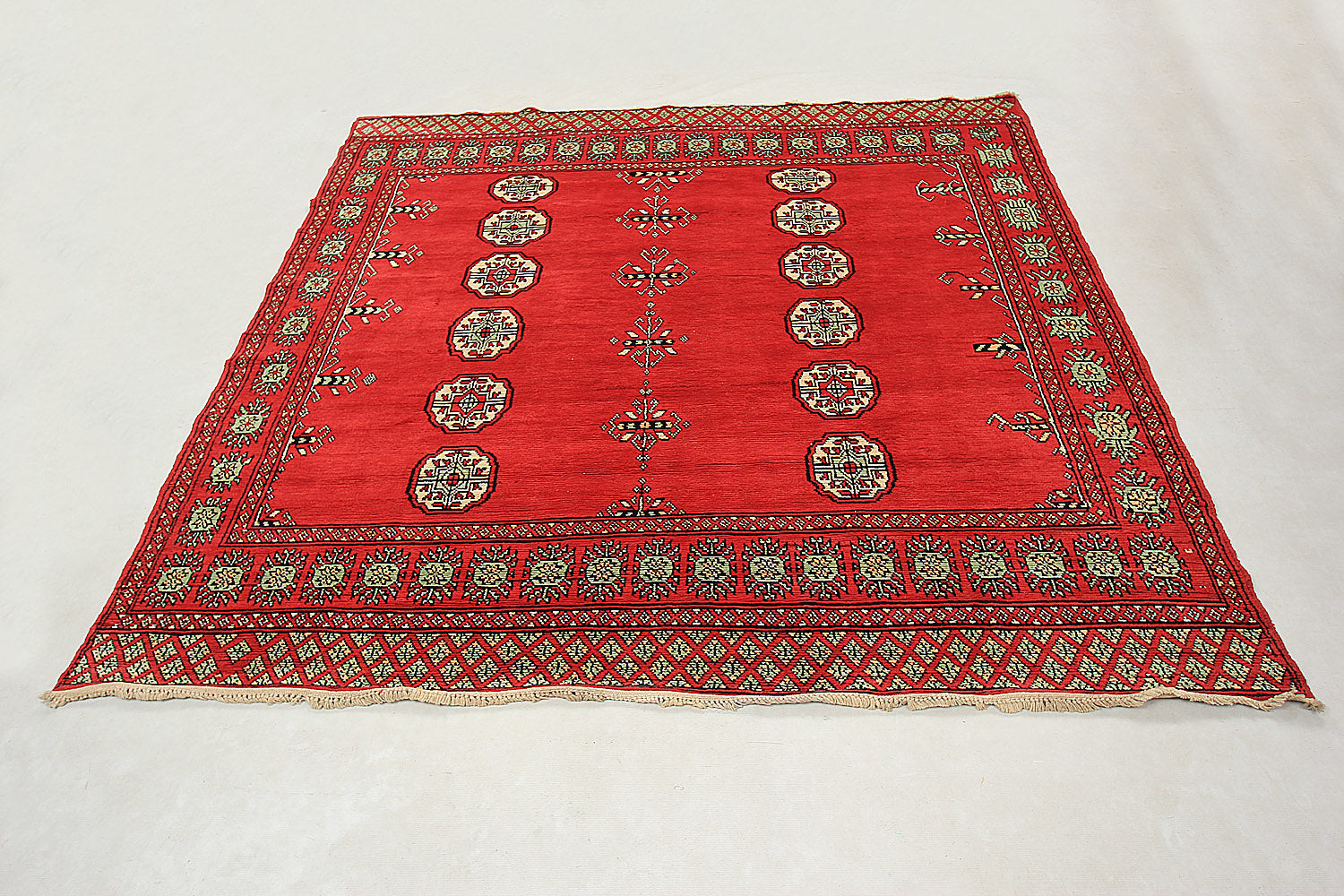 SHINDANDI BALUCHI