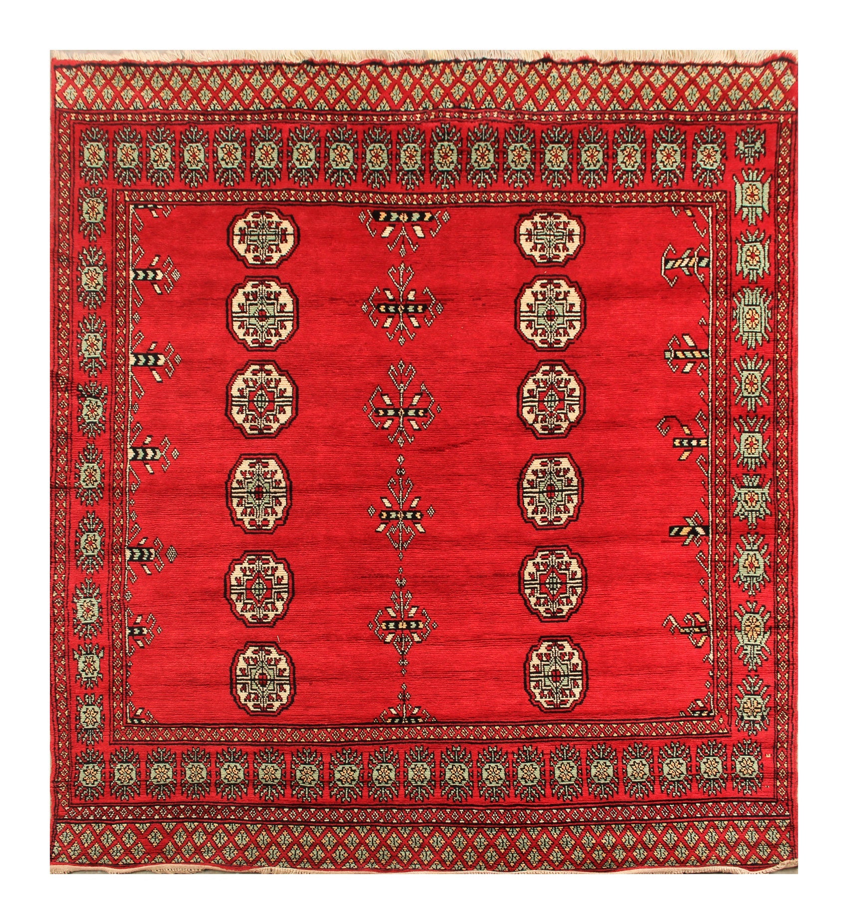 SHINDANDI BALUCHI
