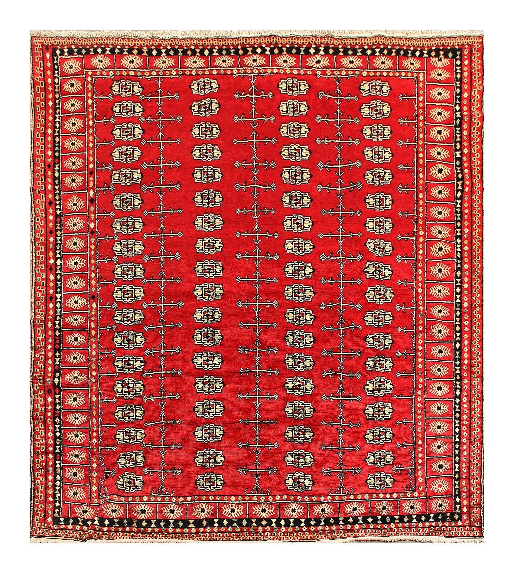 SHINDANDI BALUCHI