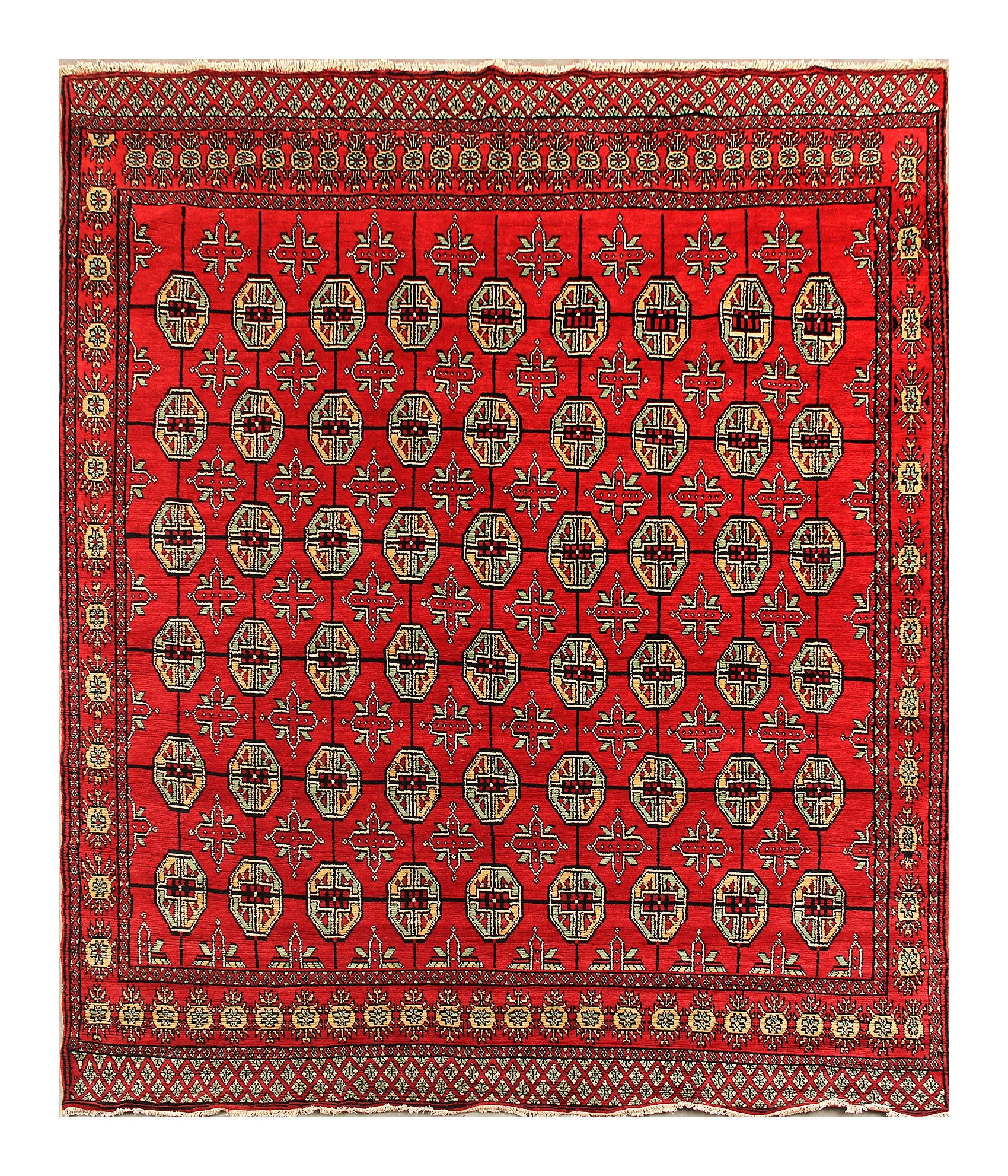 SHINDANDI BALUCHI